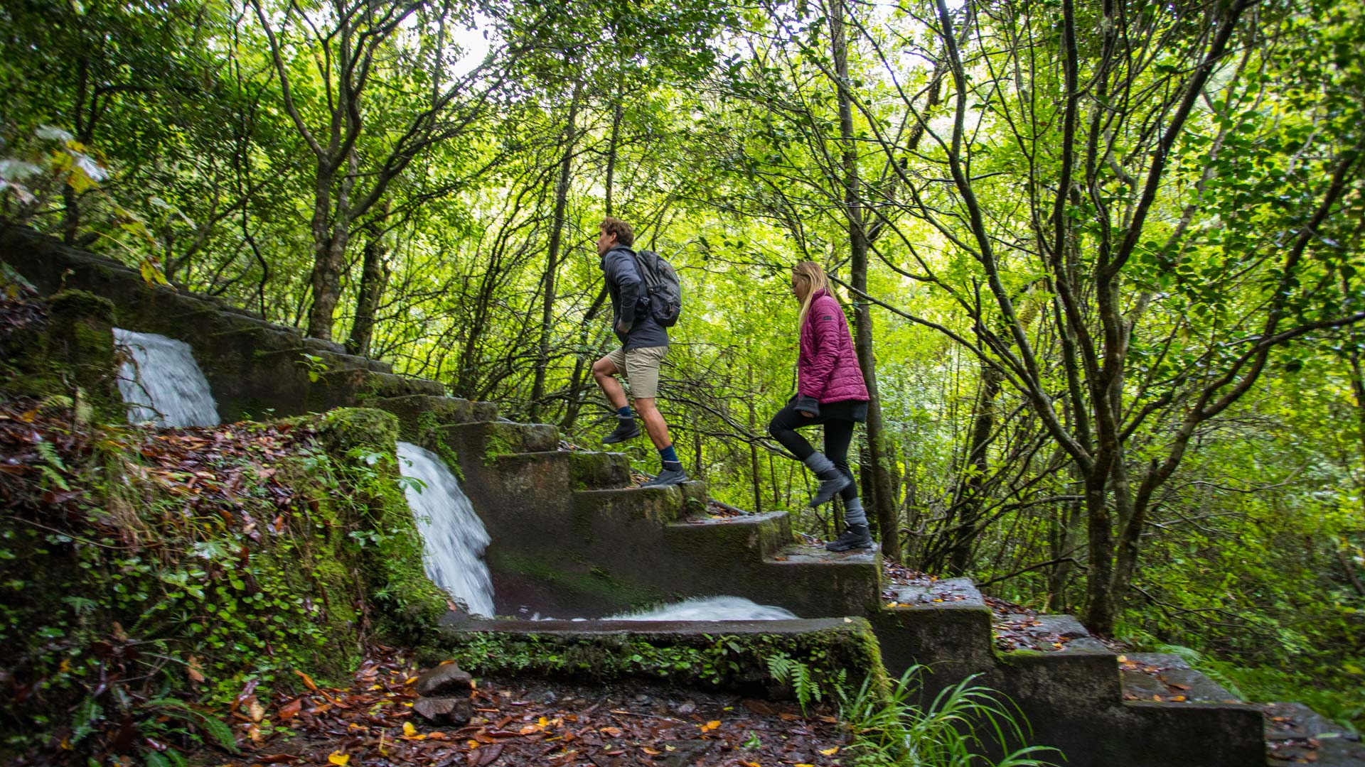Wanderer auf Levadas mit Stufen inmitten der Natur.