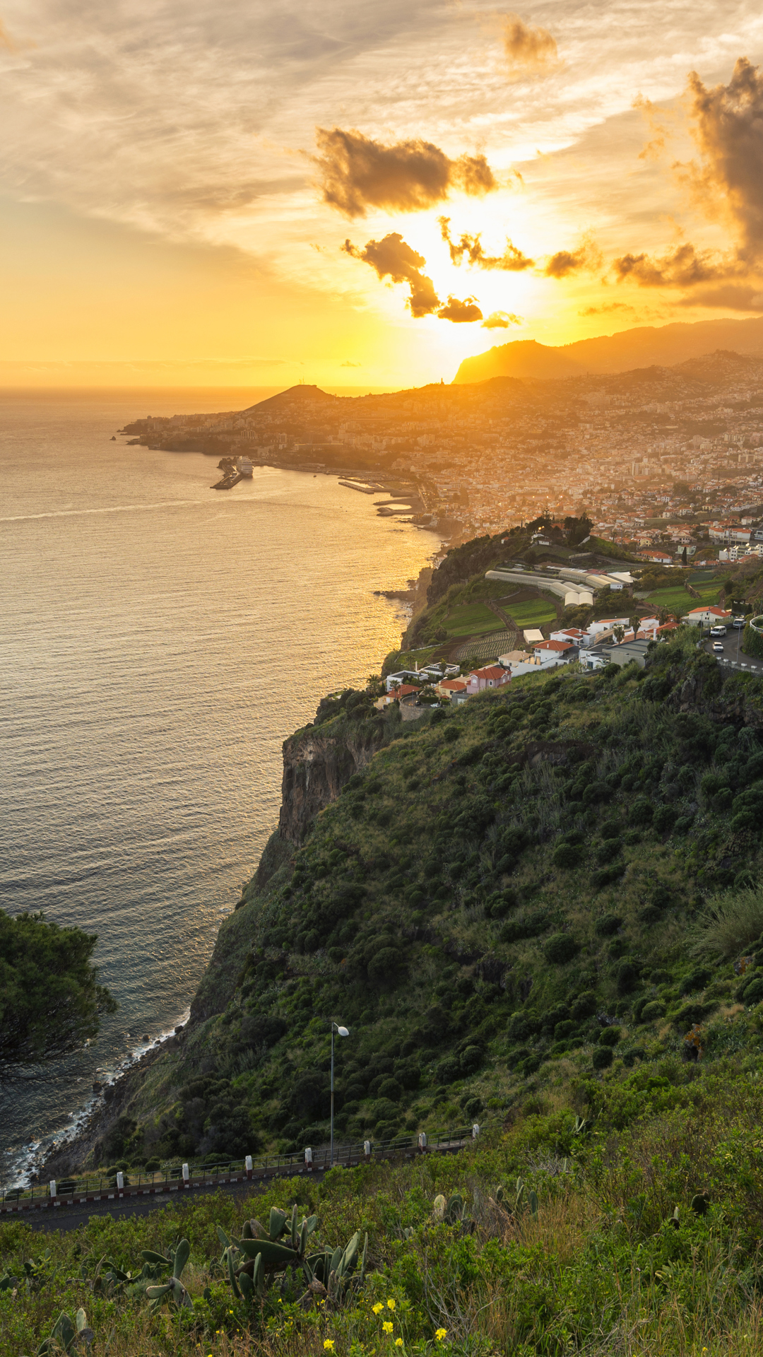 Funchal Madeira 20
