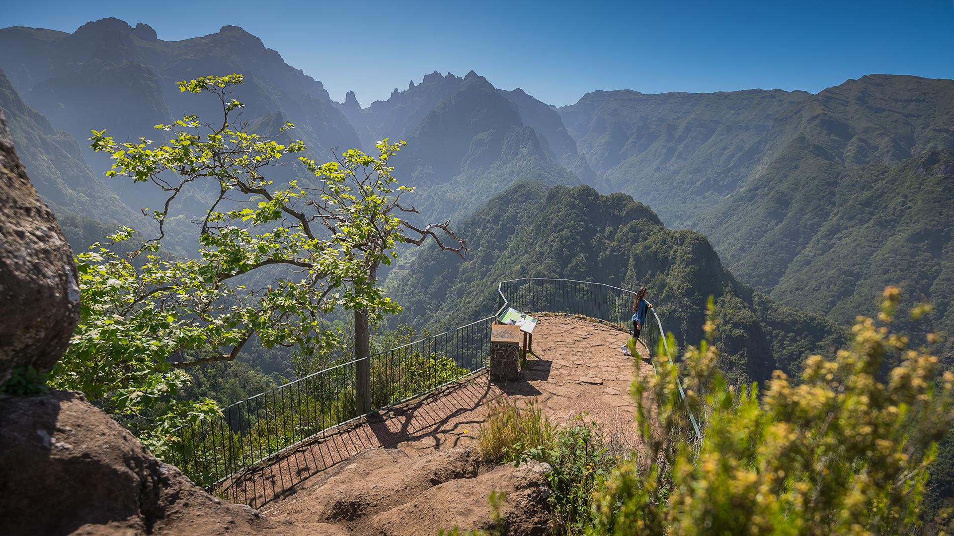 Miradouro com flores amarelas, natureza e montanhas na Madeira.