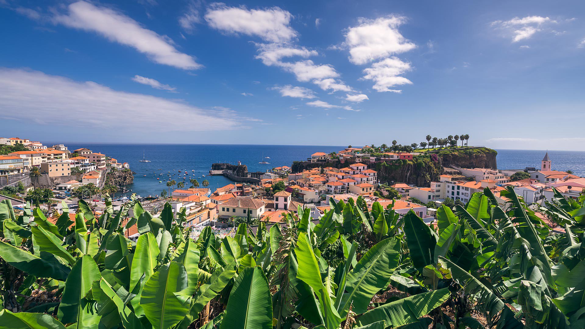 Câmara de Lobos Bay