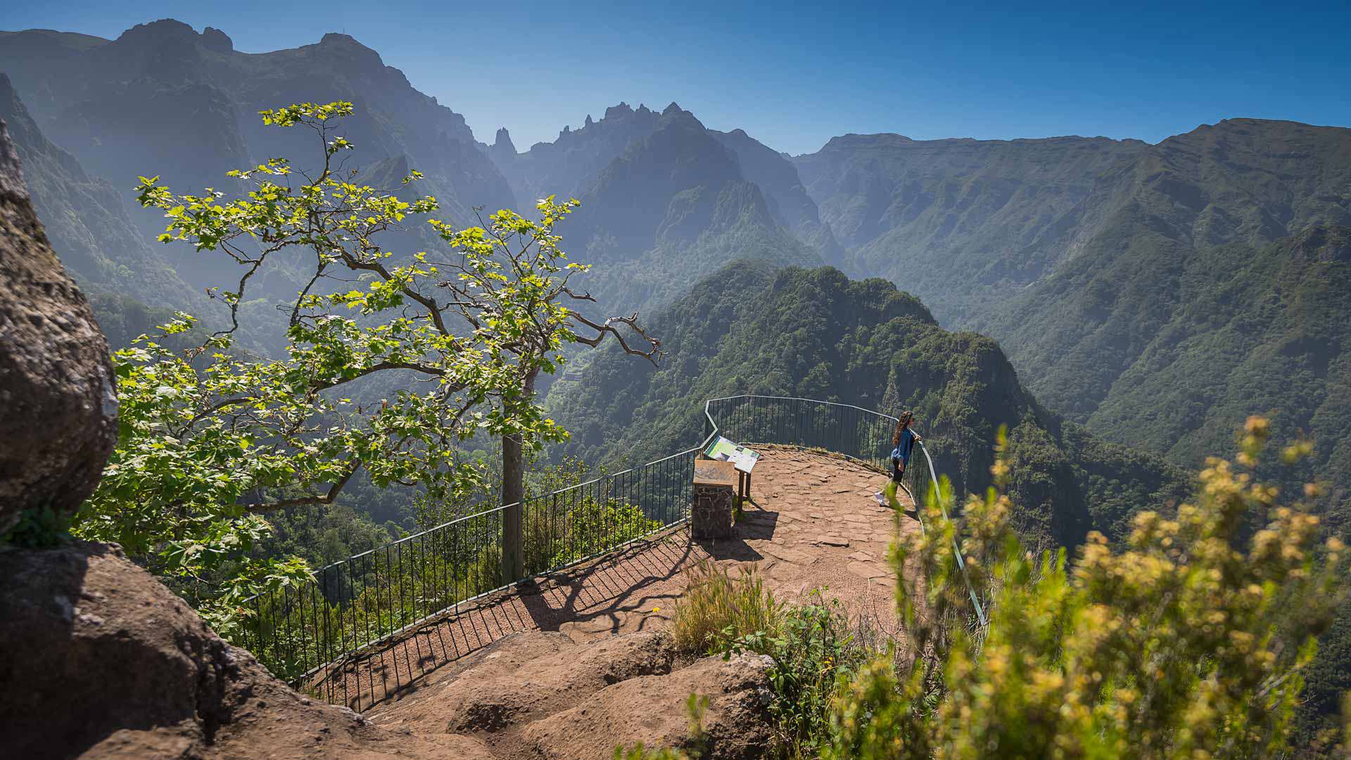 Mirador con flores amarillas, árbol y montañas en Madeira.