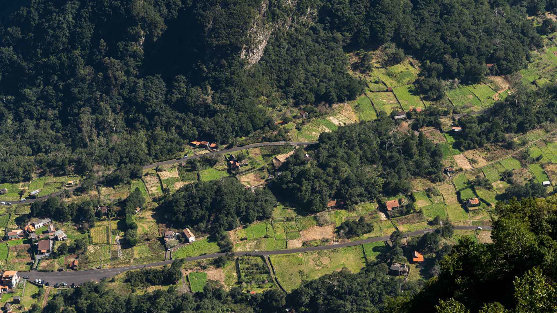 Terrains verts couverts de nature abondante.