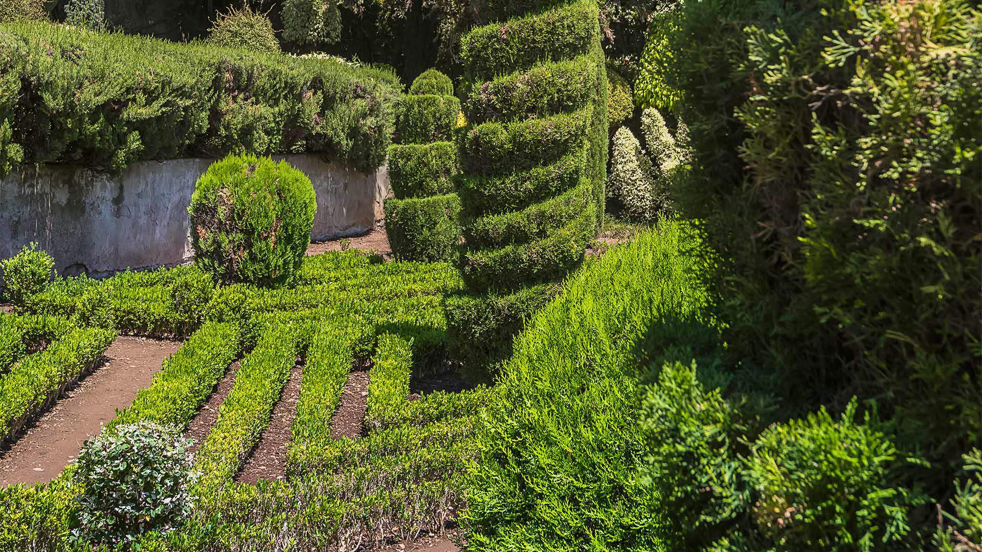 Lush nature at the Botanical Garden on Madeira Island.