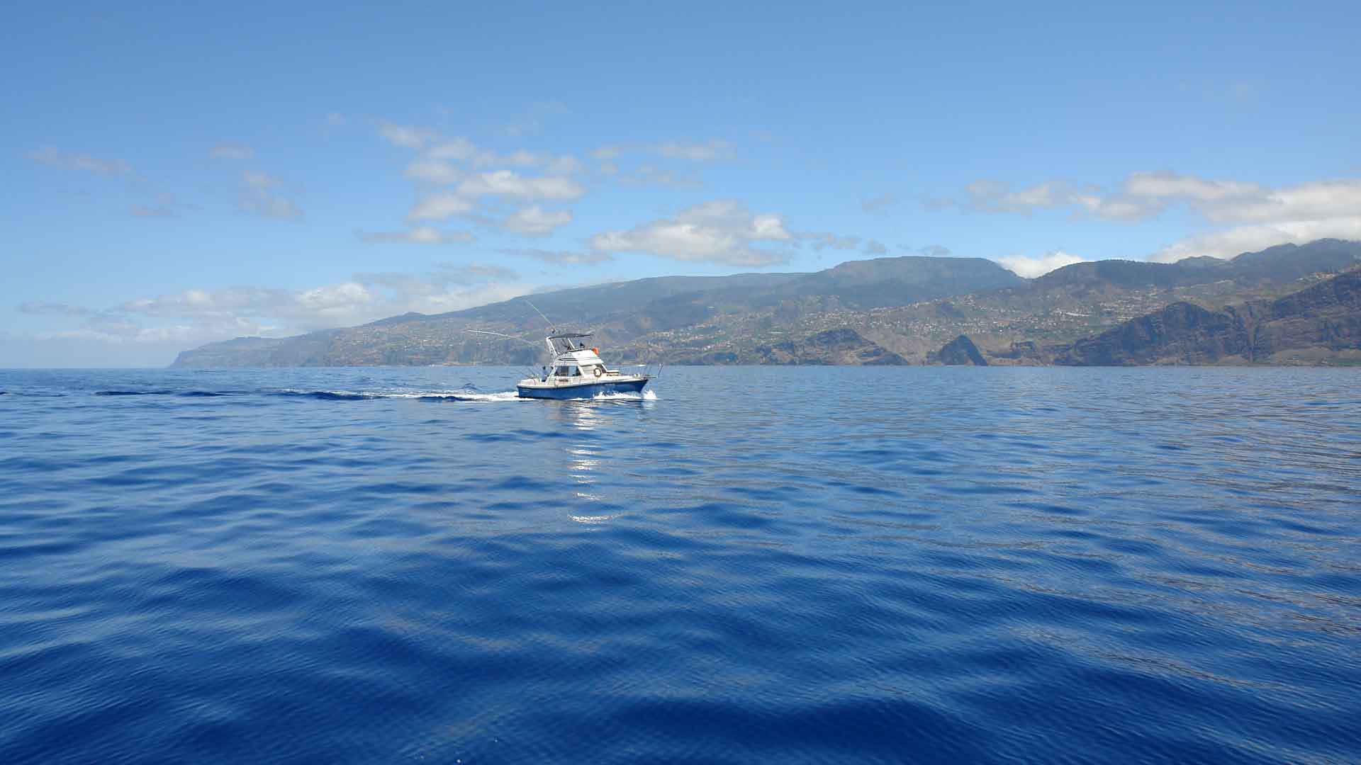 pesca desportiva na madeira 2