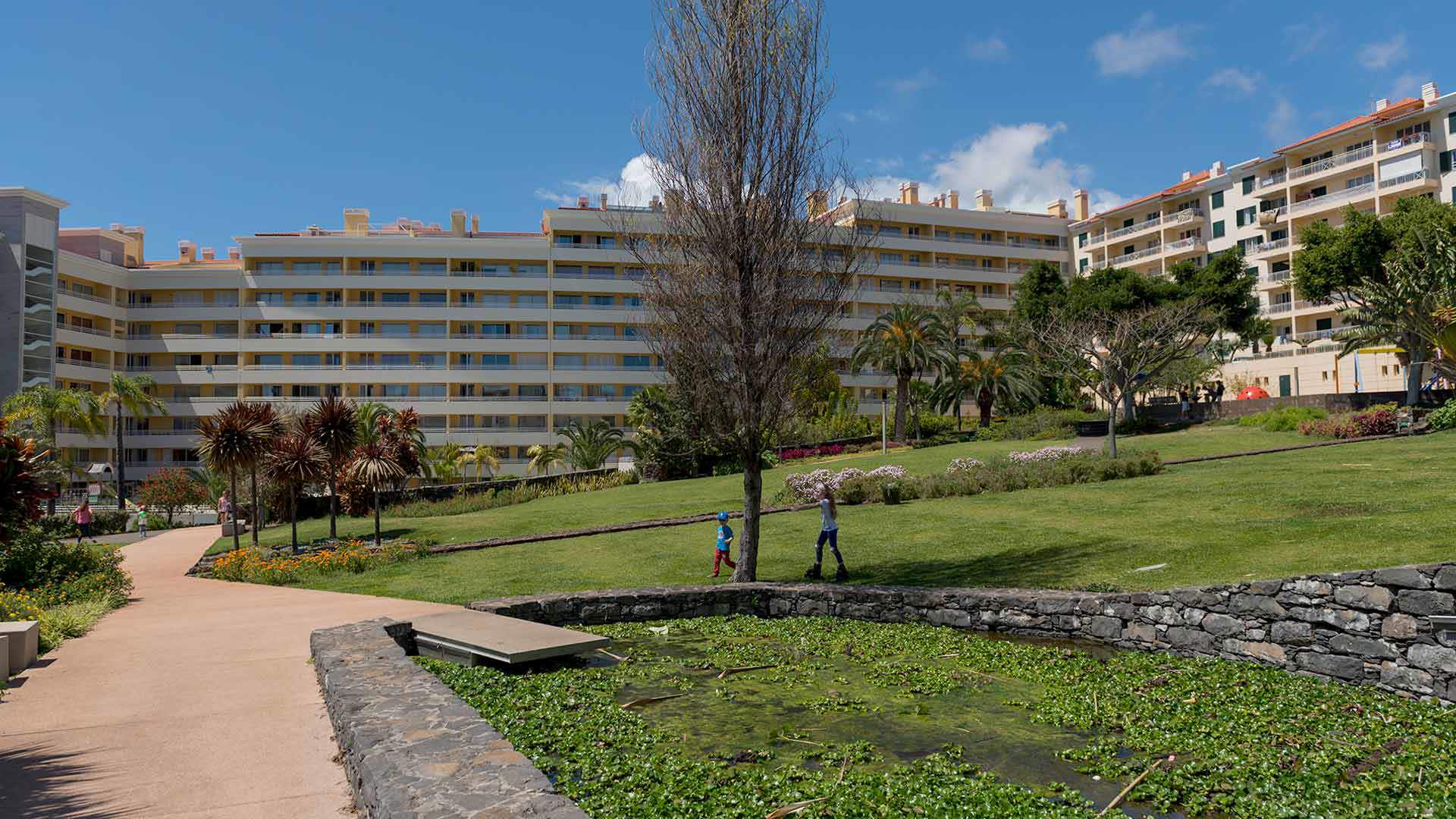 Lawn at Jardim da Ajuda on Madeira Island.
