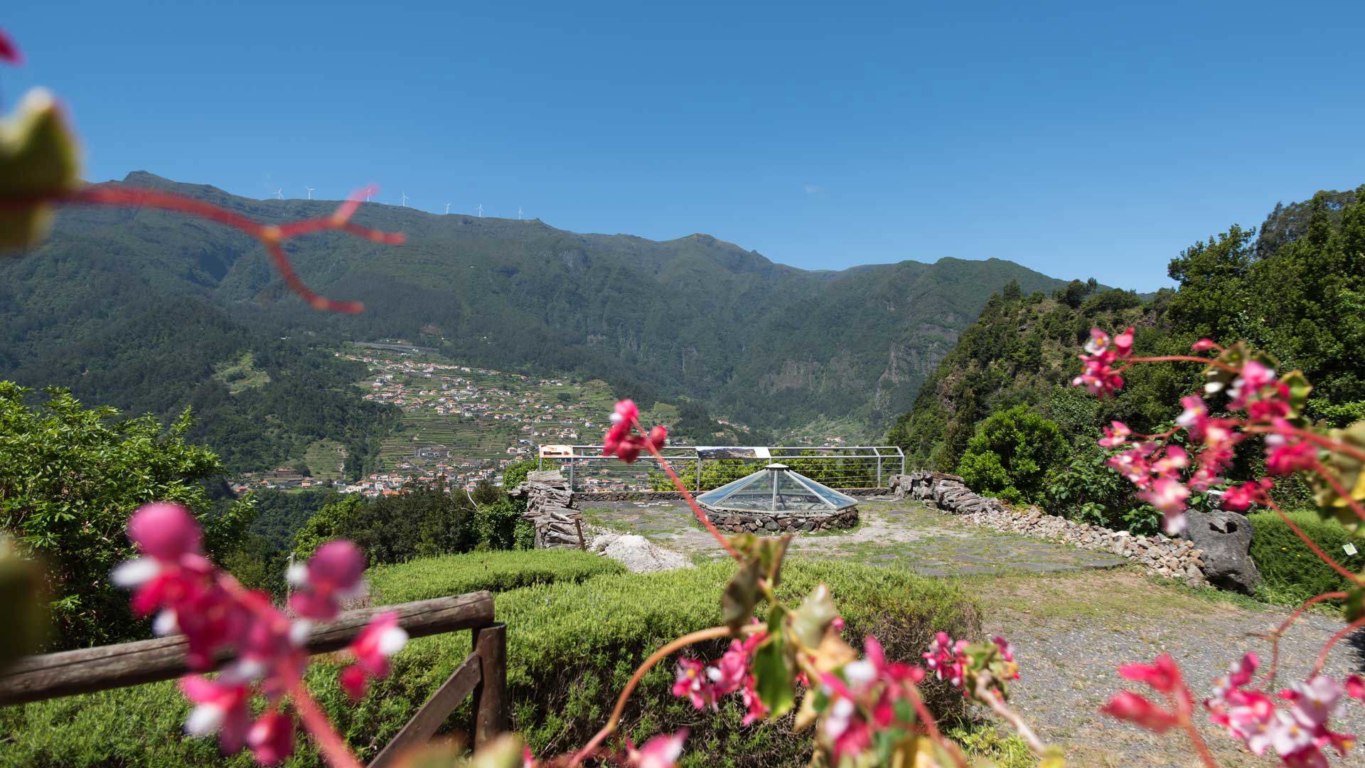Mountain view with pink flowers in the foreground in Madeira.
