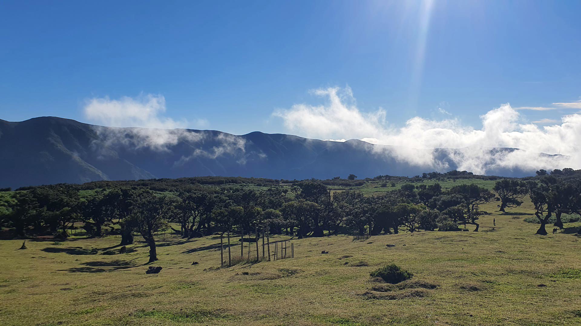 Madeira mountain range with blue sky, mountains, and vegetation.