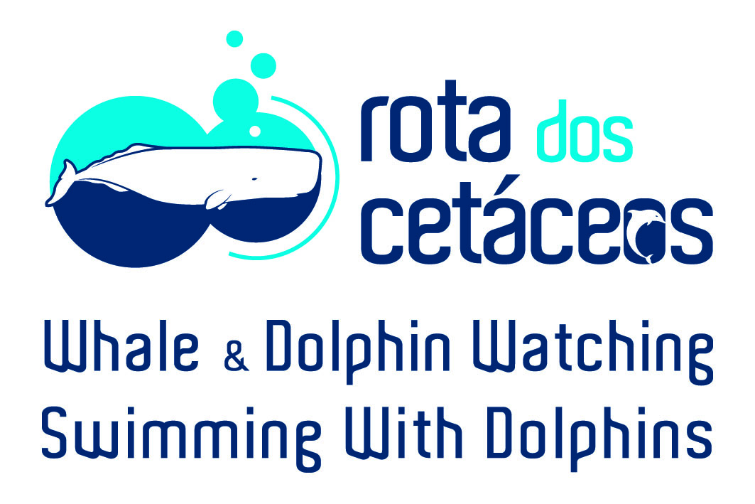 cetacean route madeira 2