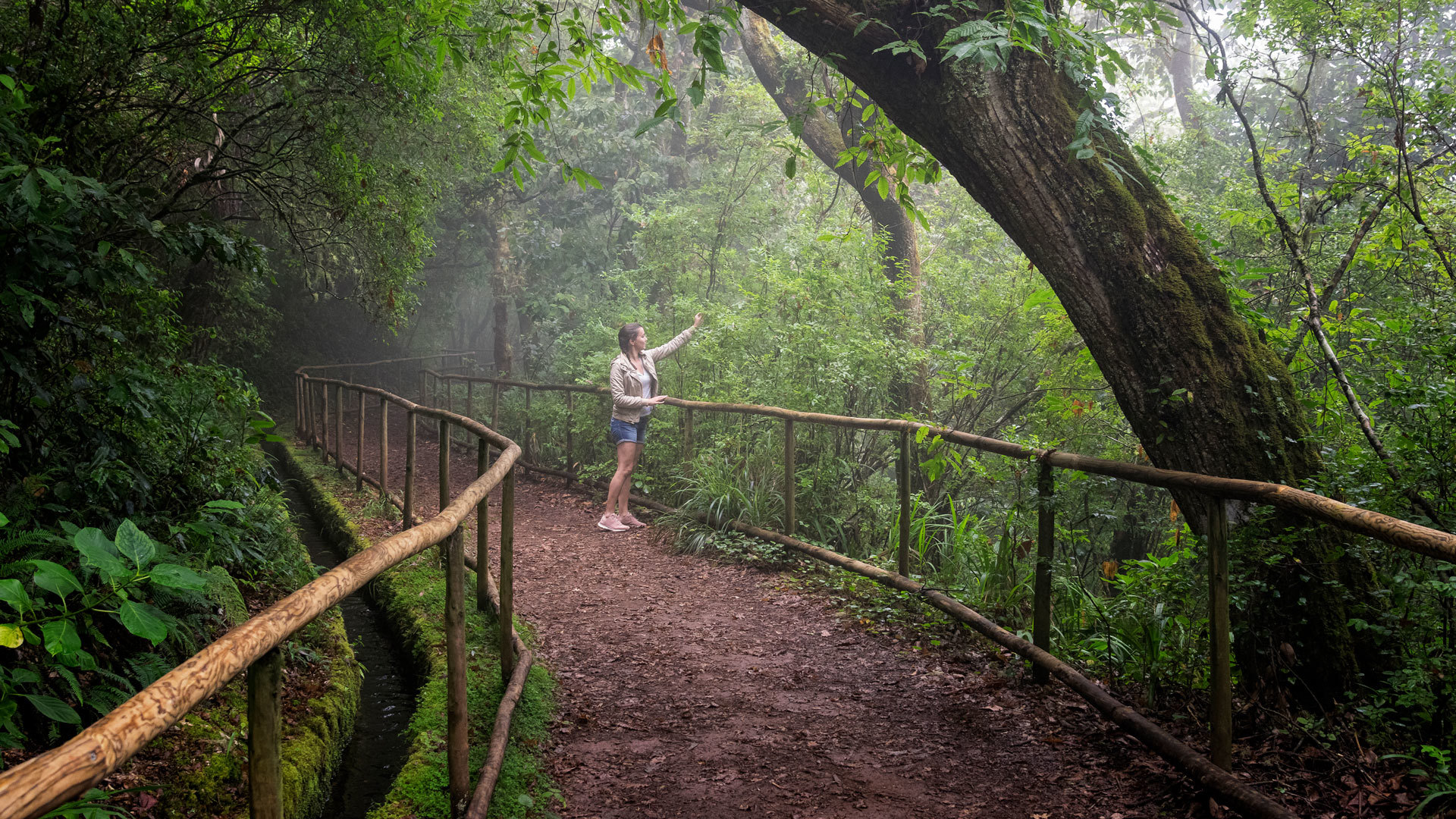 levada do caldeirão verde um caminho para todos pr 9.1