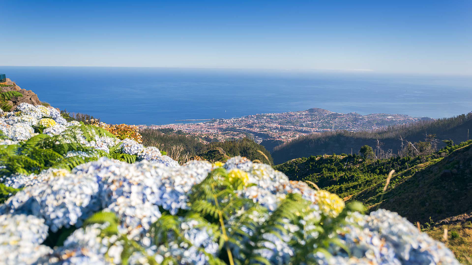 Parc écologique de Funchal 8