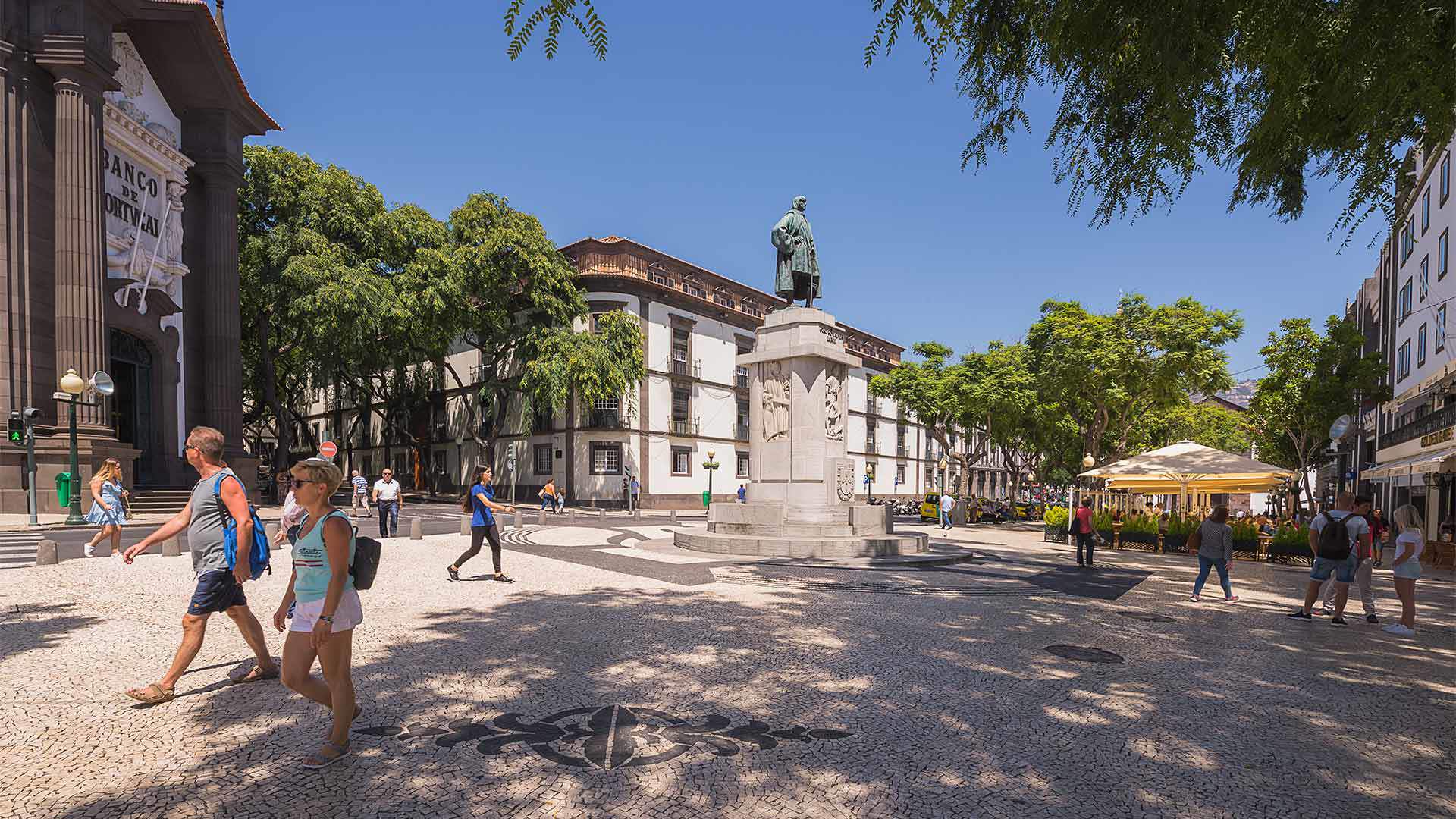 avenida arriaga 6