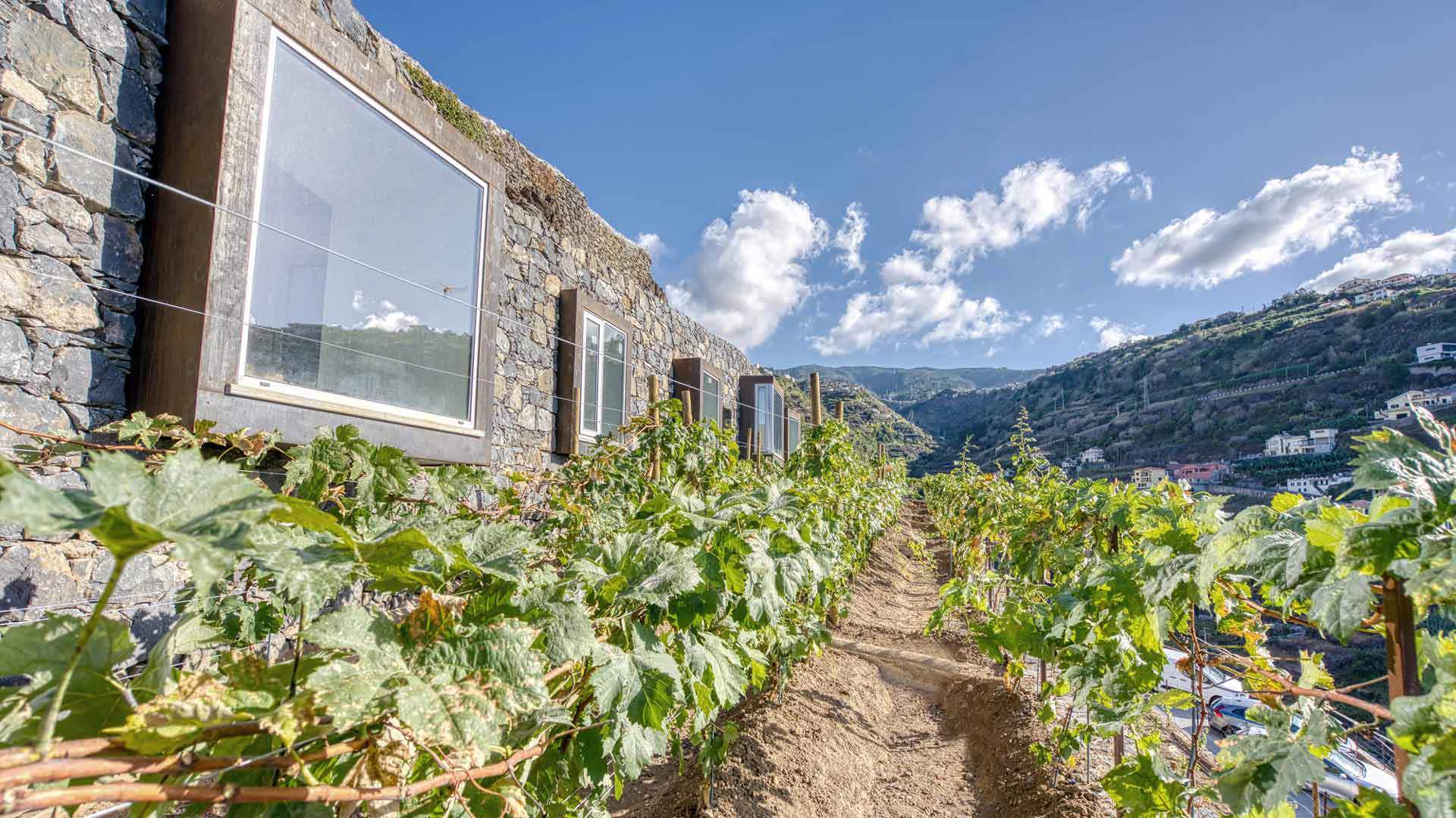 Weinhotel auf Madeira 1