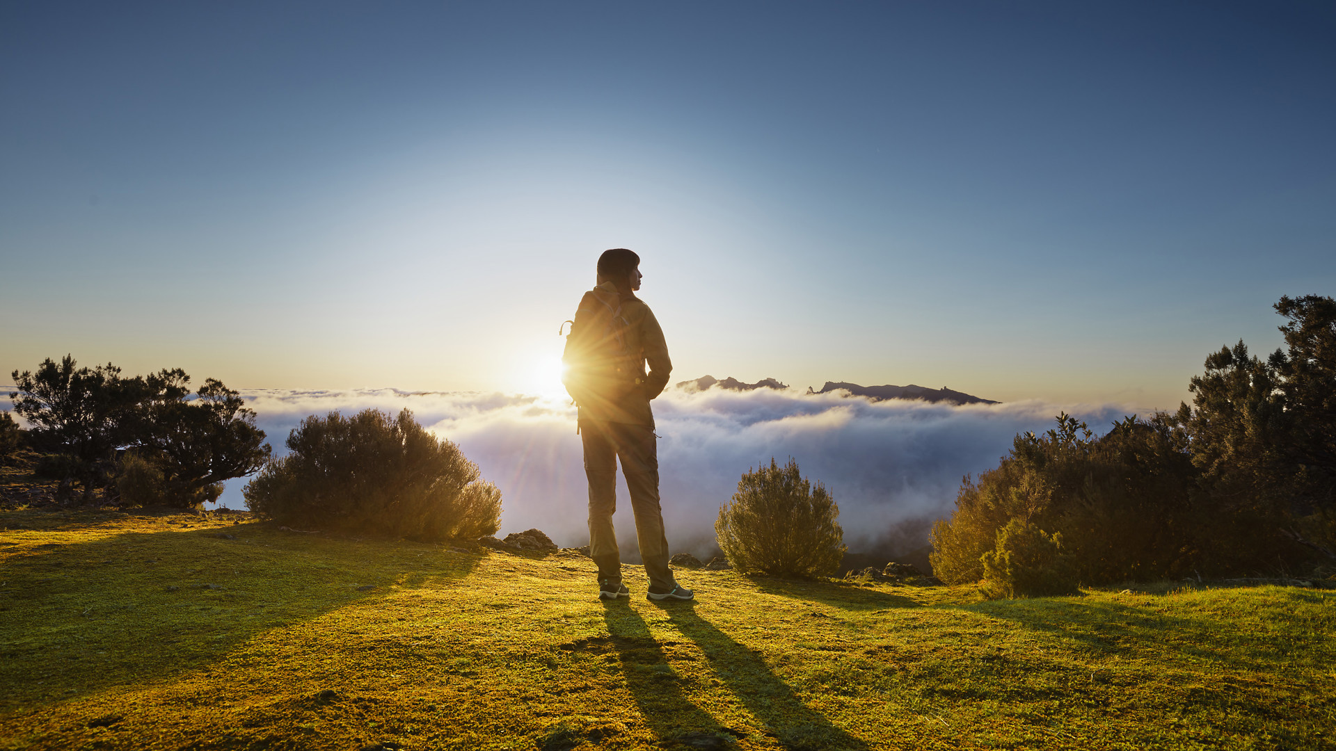 Woman among bushes under sun and clouds on the horizon.