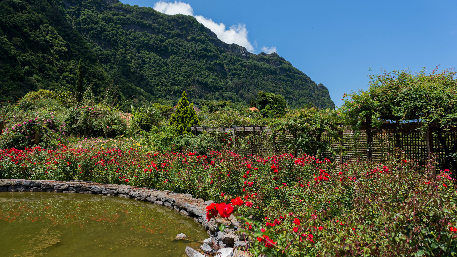 Quinta do Arco en São Jorge 19