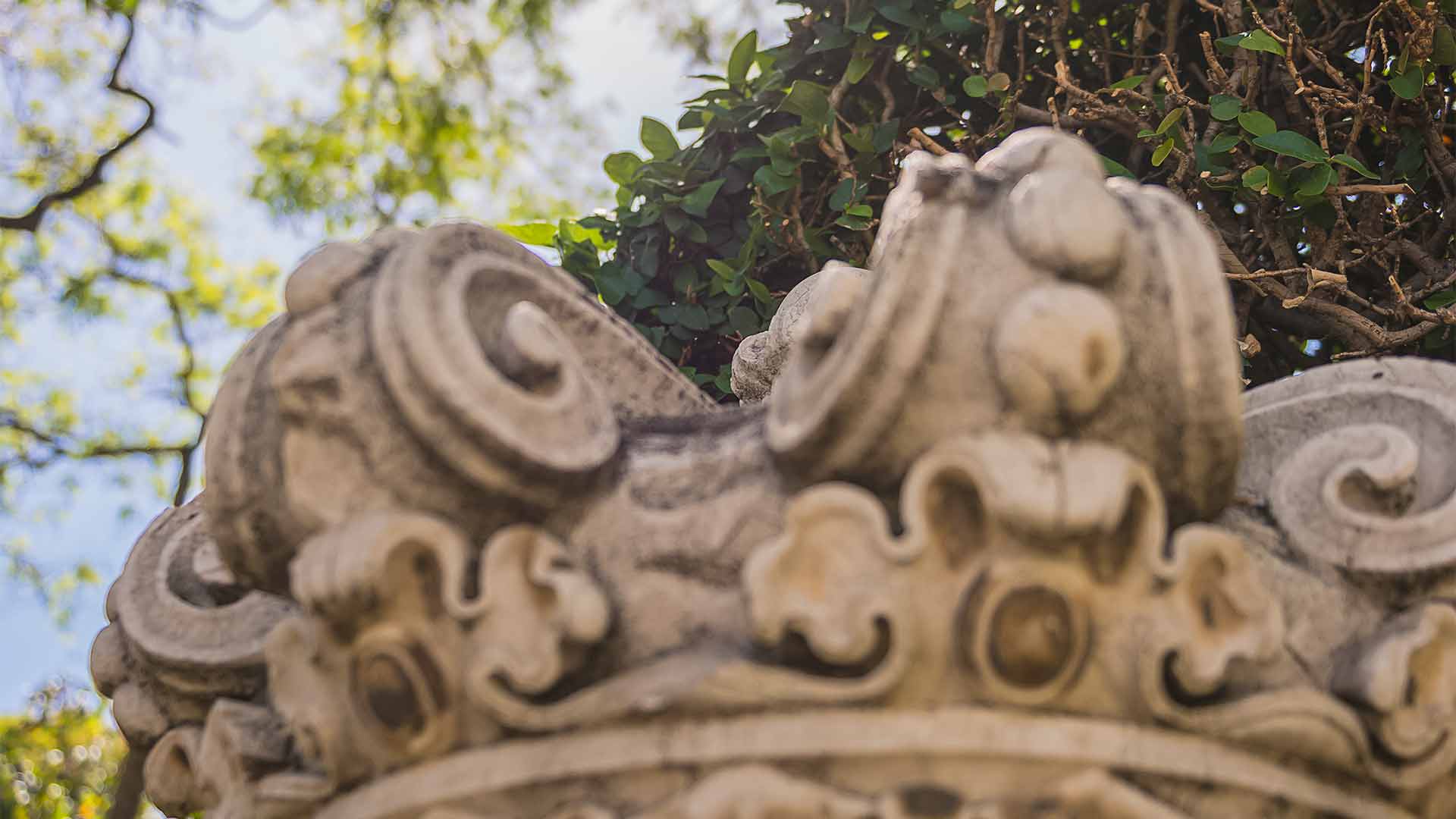 jardin municipal funchal 1