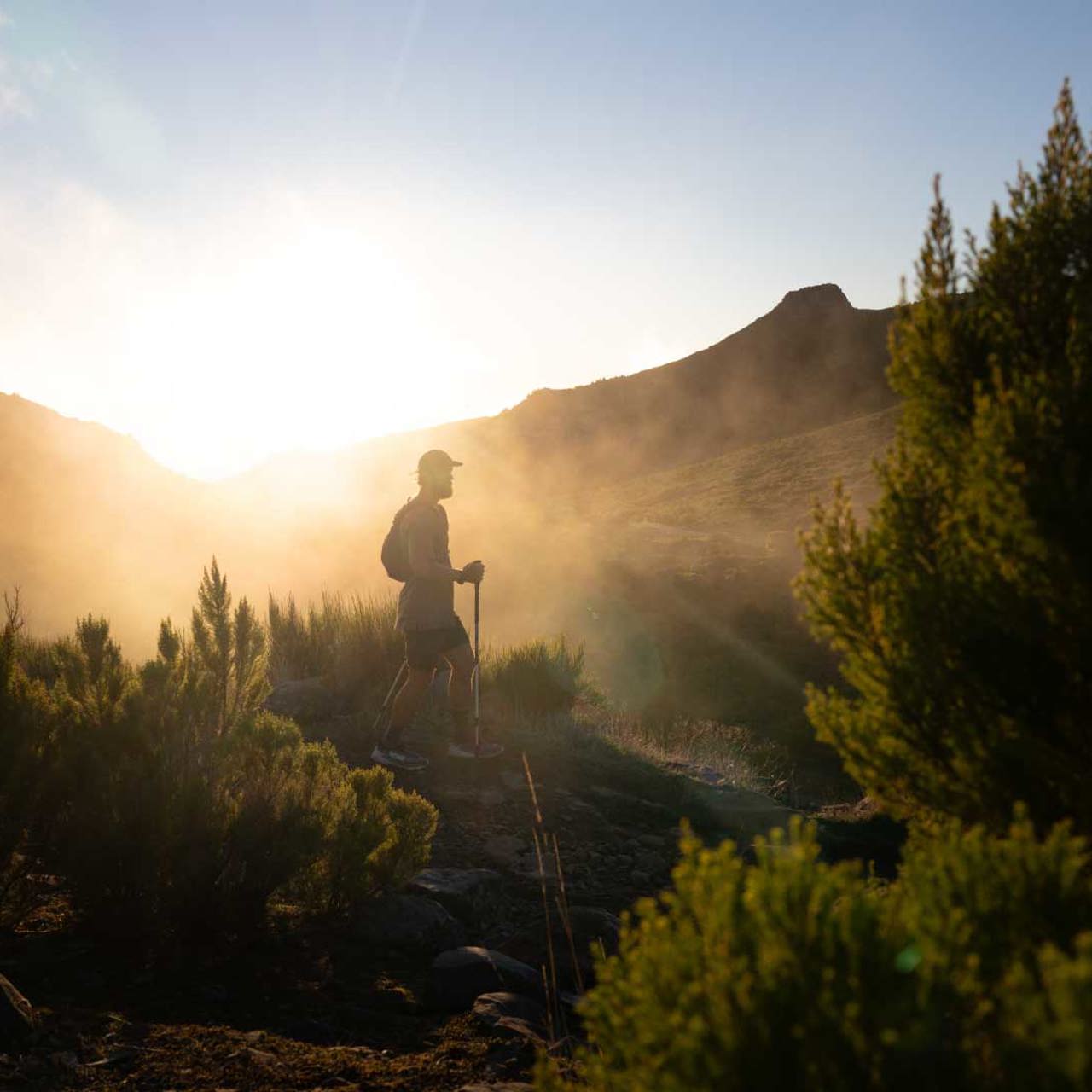 Homem a percorrer um trilho rodeado de vegetação exuberante na Madeira.