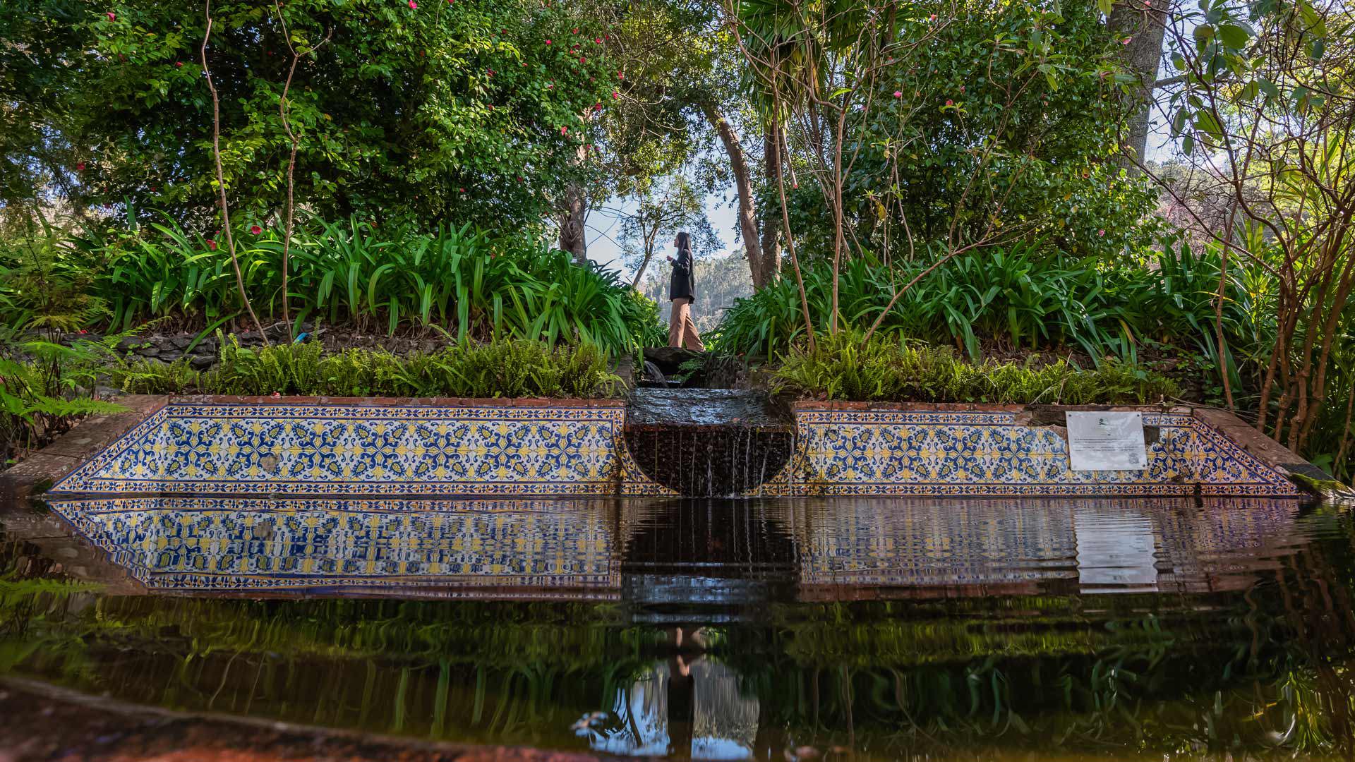 quinta do jardim da serra madeira 4