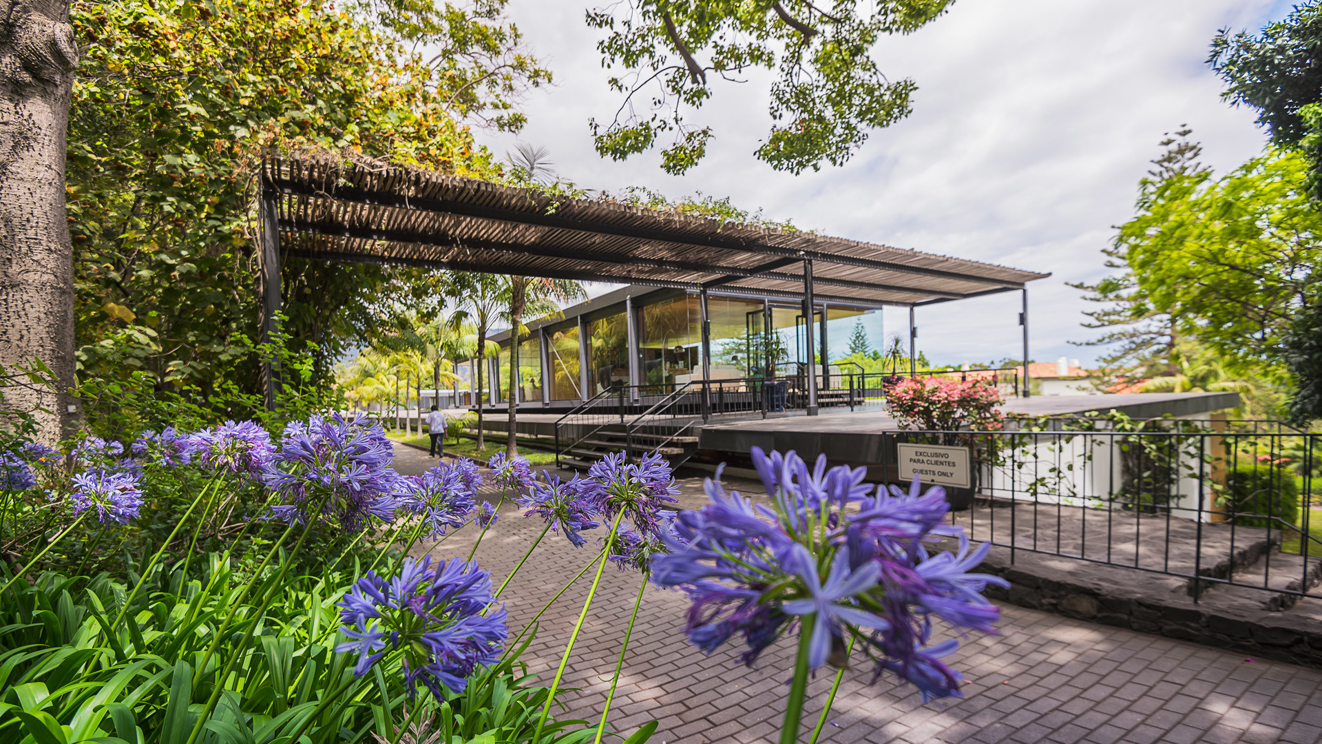 quinta da casa branca madeira 1