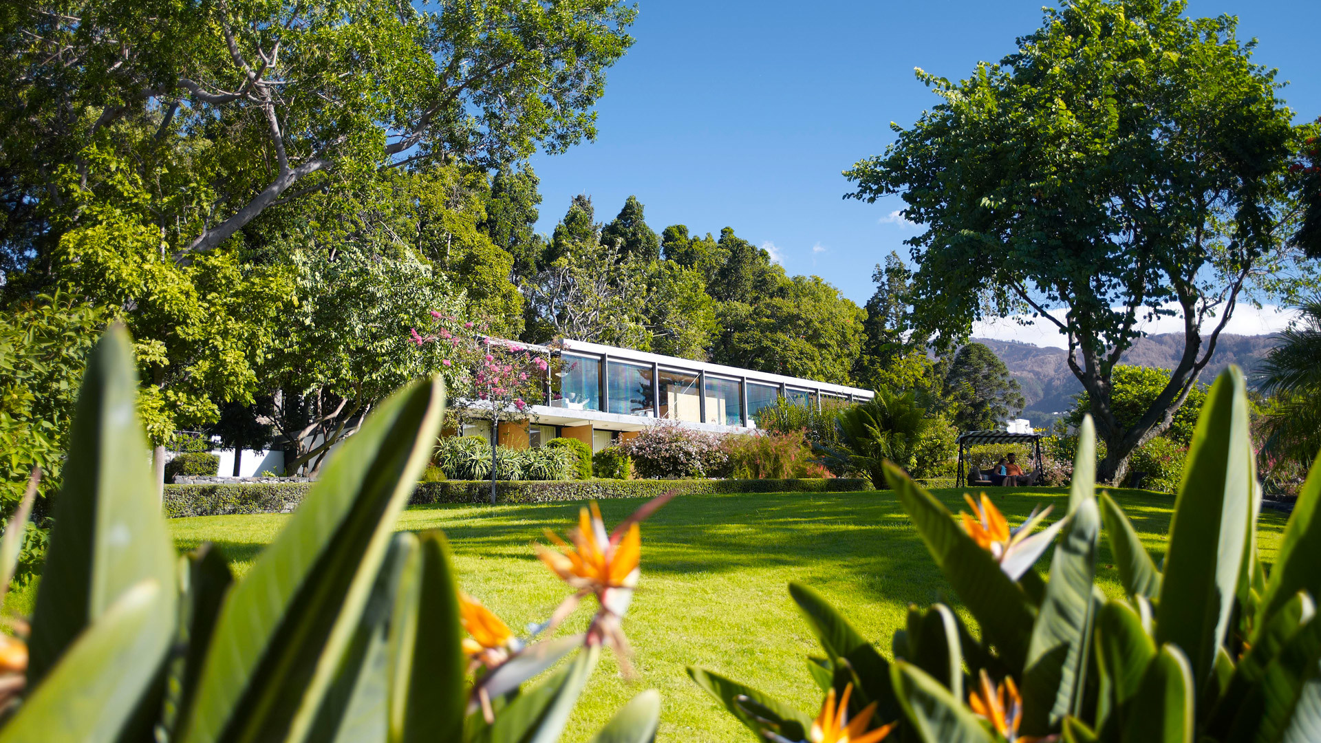 quinta da casa branca madeira 6