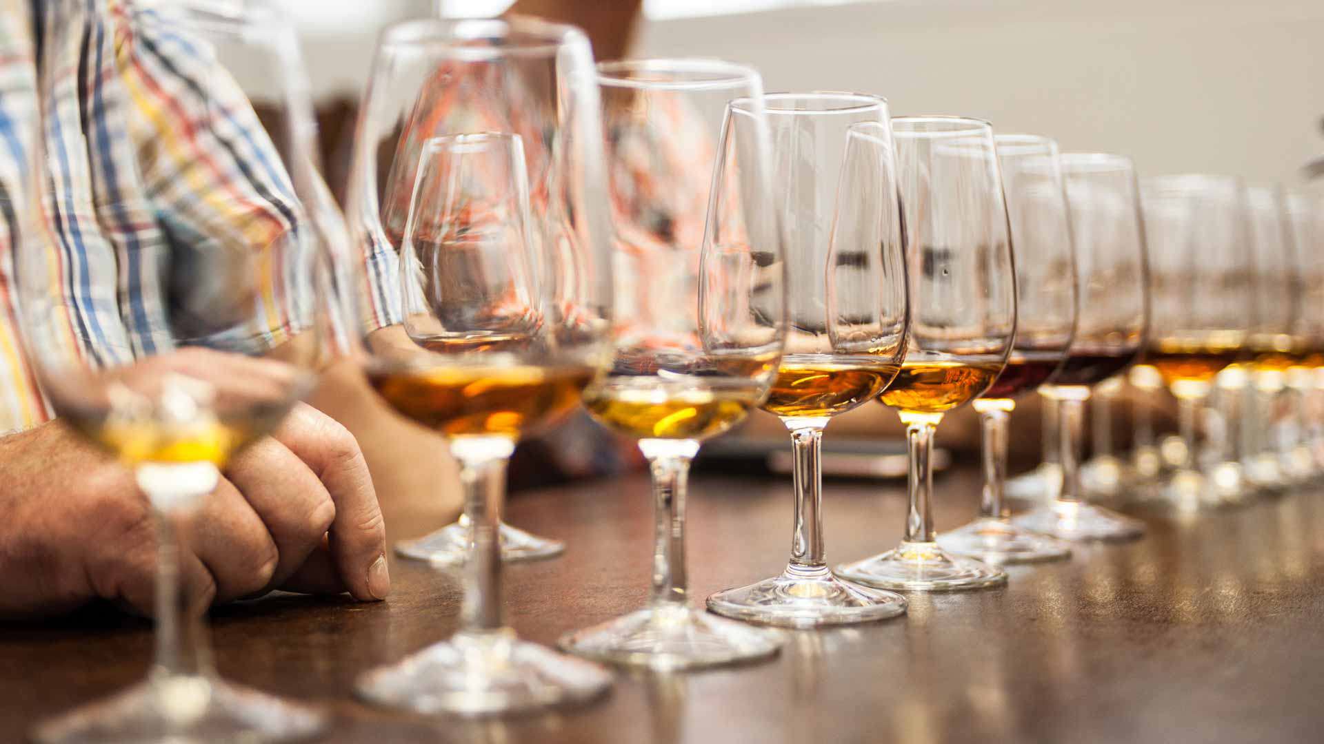 Degustação de vinho Madeira com vários copos sobre uma mesa.