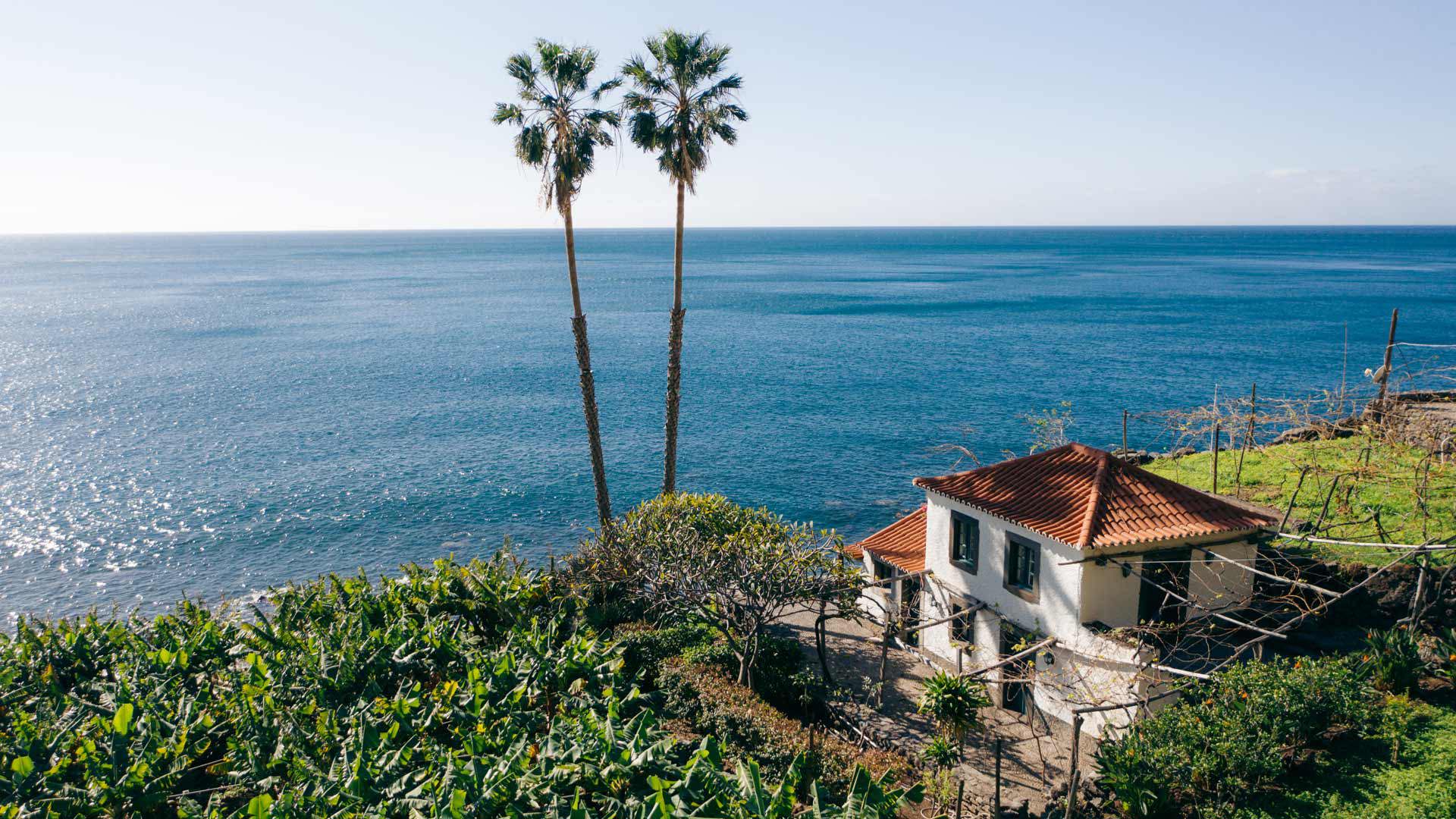 fajã dos padres madeira 15