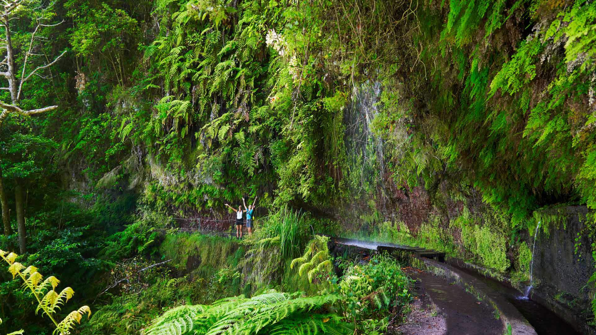 Dos señoras junto a la naturaleza y una mini cascada de agua.