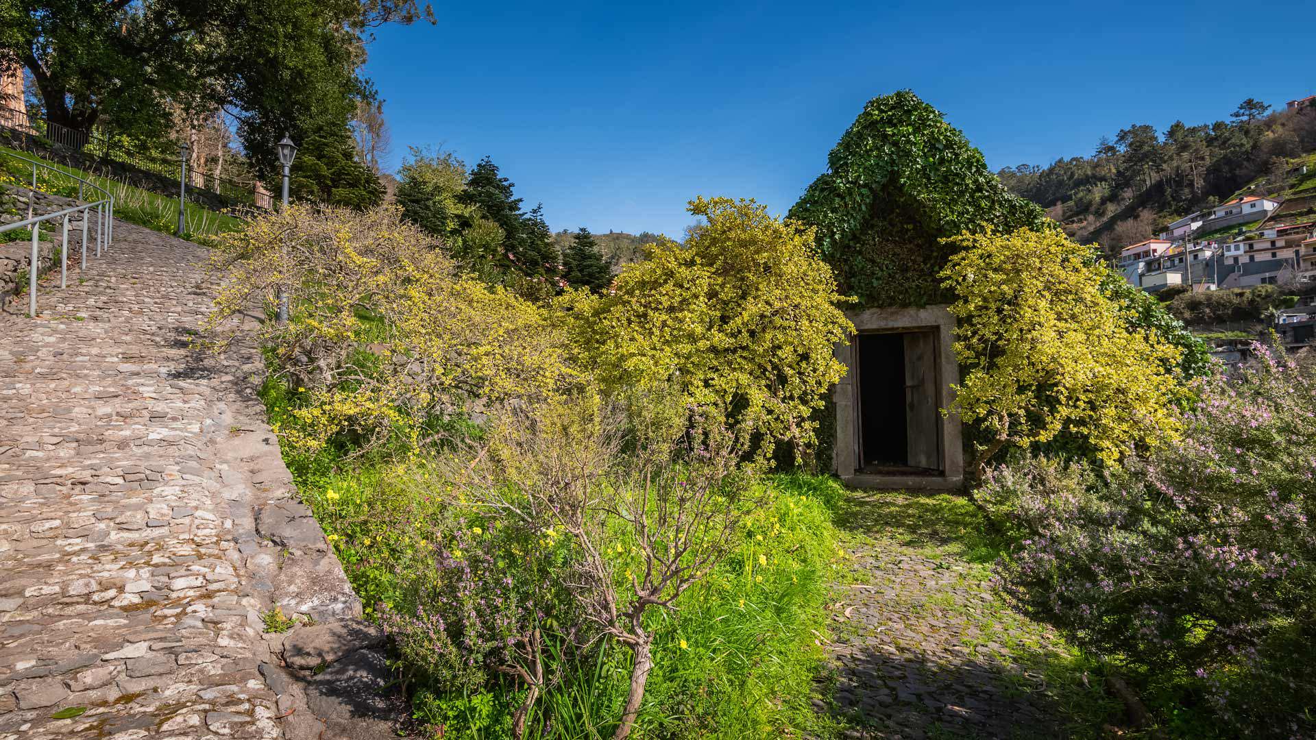 quinta do jardim da serra madeira 22