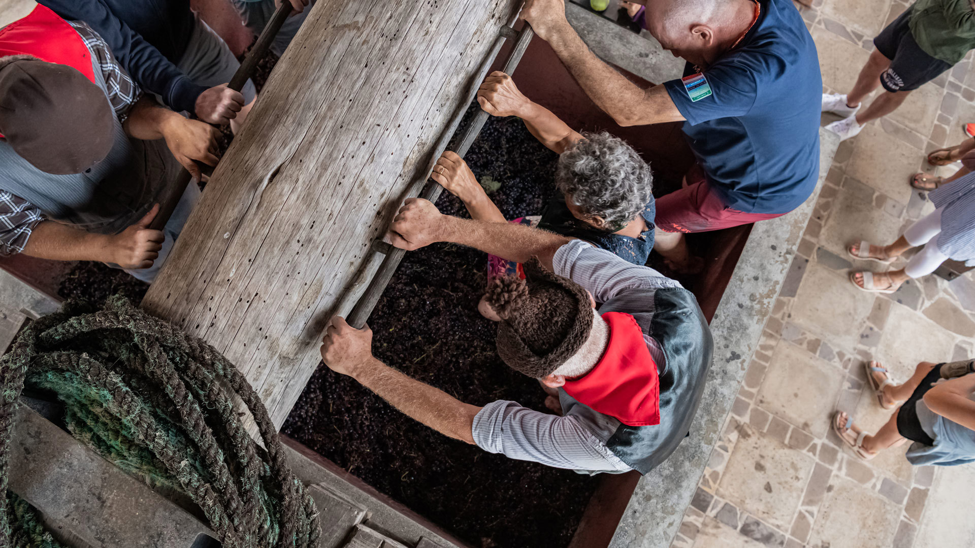 madeira wine festival 25