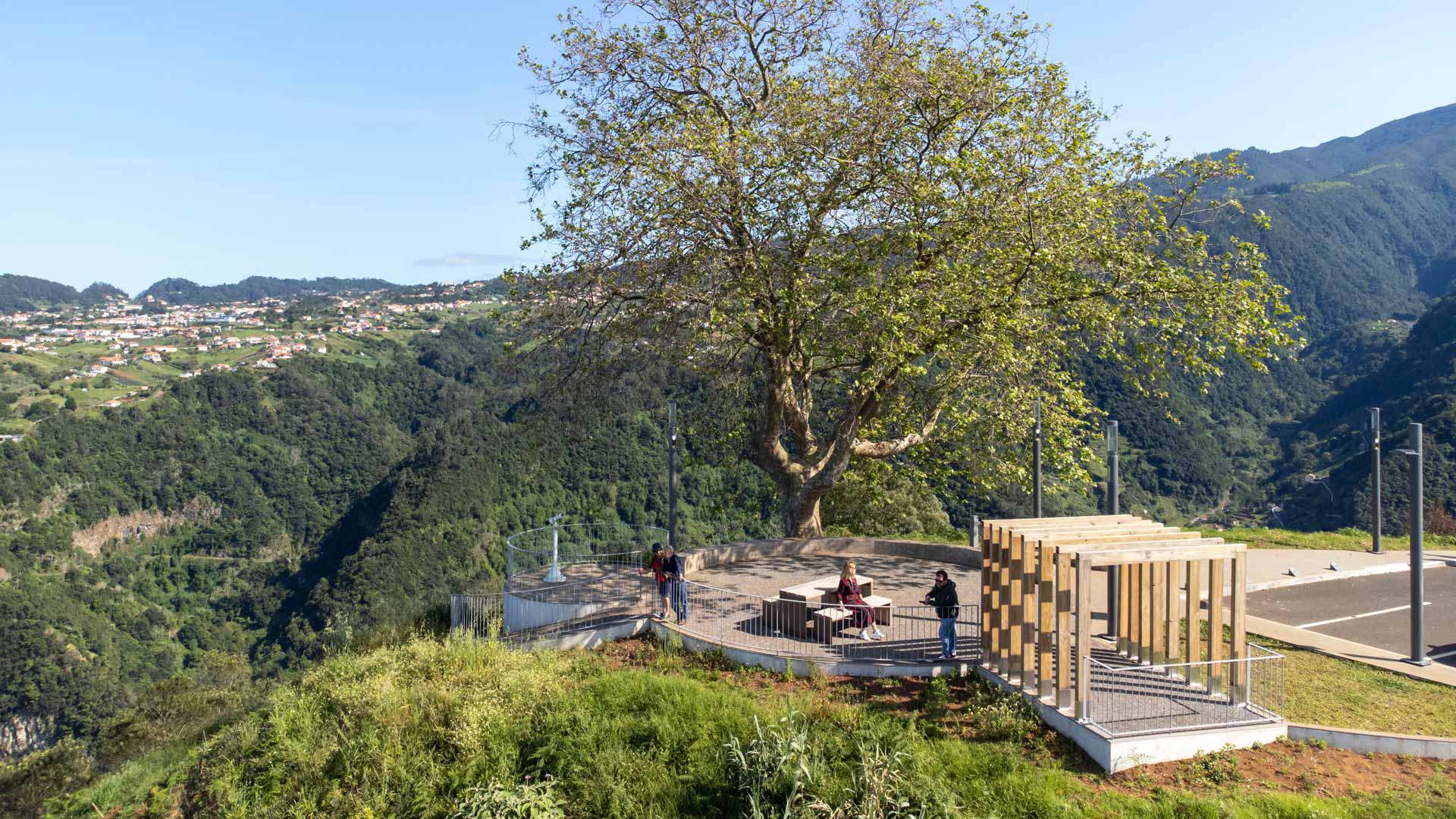 Mirador con árbol en las montañas en Madeira.