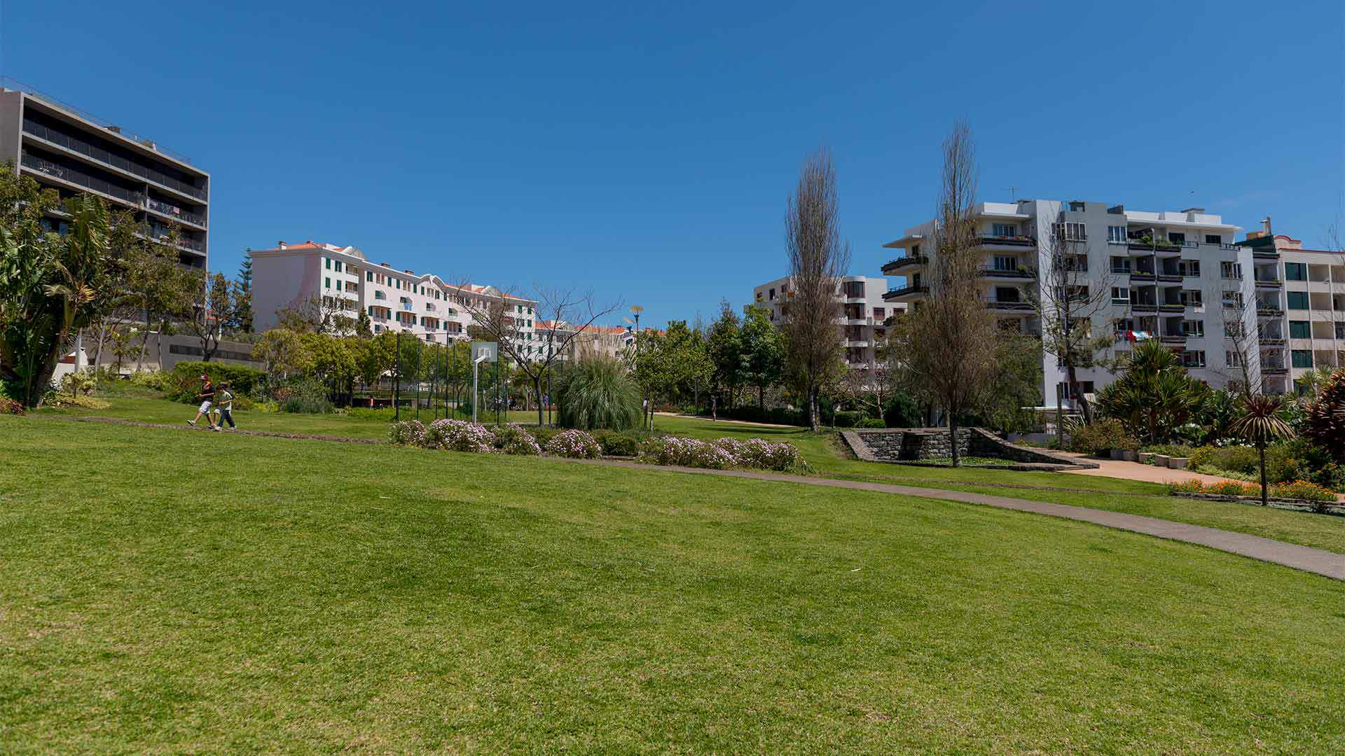 Pelouse au Jardim da Ajuda avec des bâtiments en arrière-plan, sur l'île de Madère.