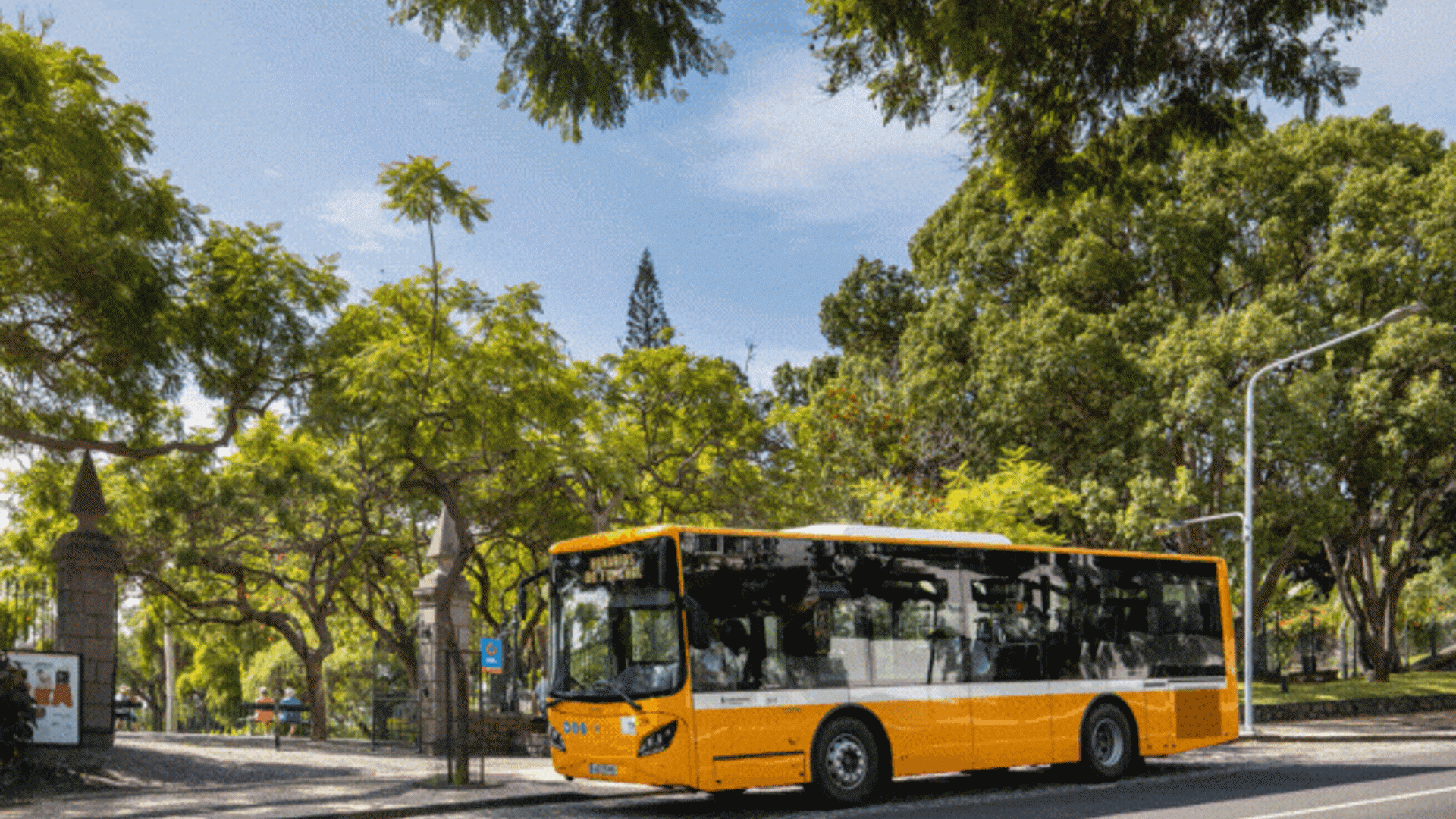 bus madeira 4