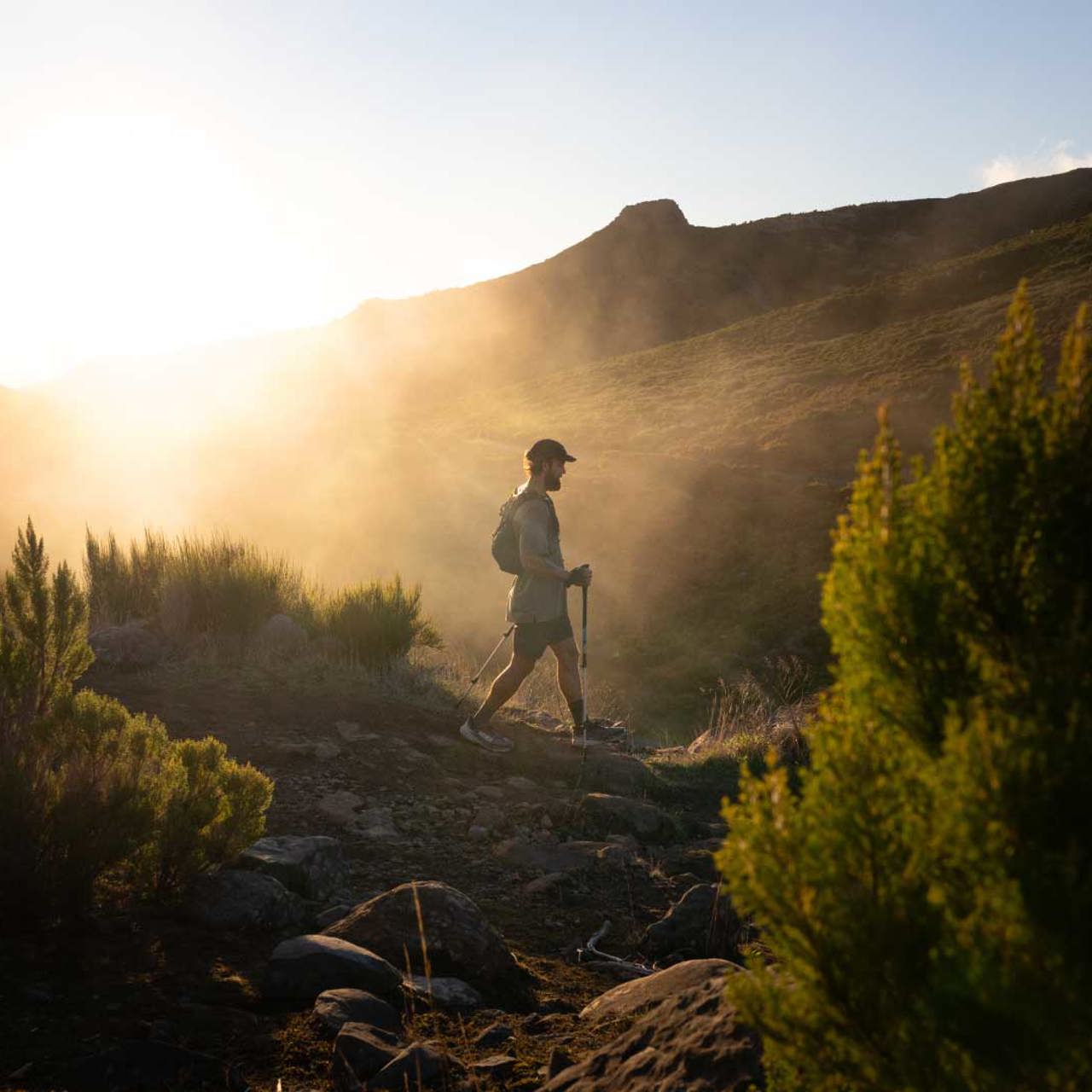 Man walking along a trail surrounded by lush vegetation in Madeira.