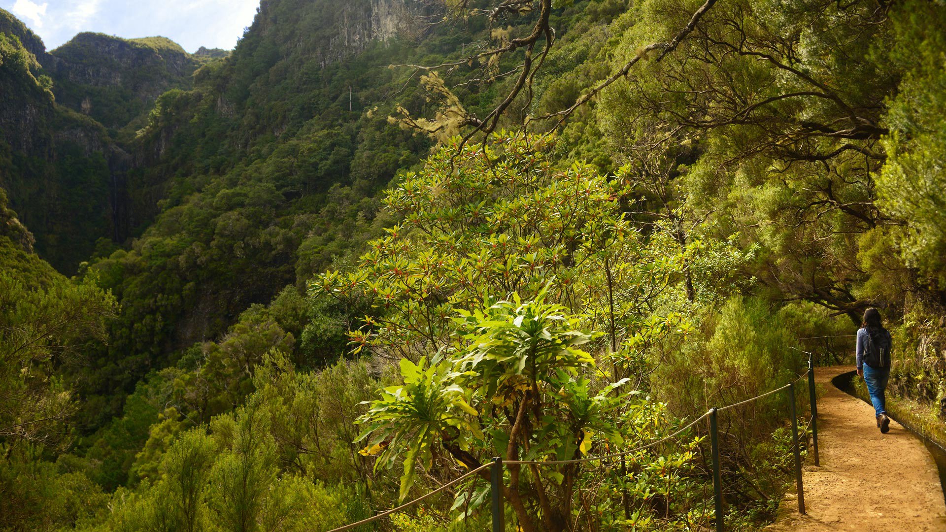 levada das 25 fontes 13