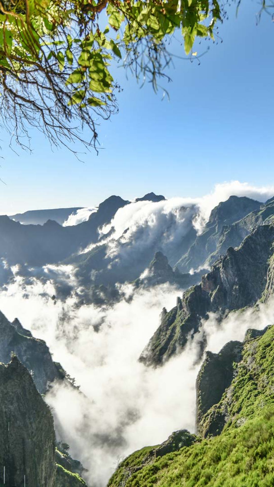 pico ruivo madeira 3