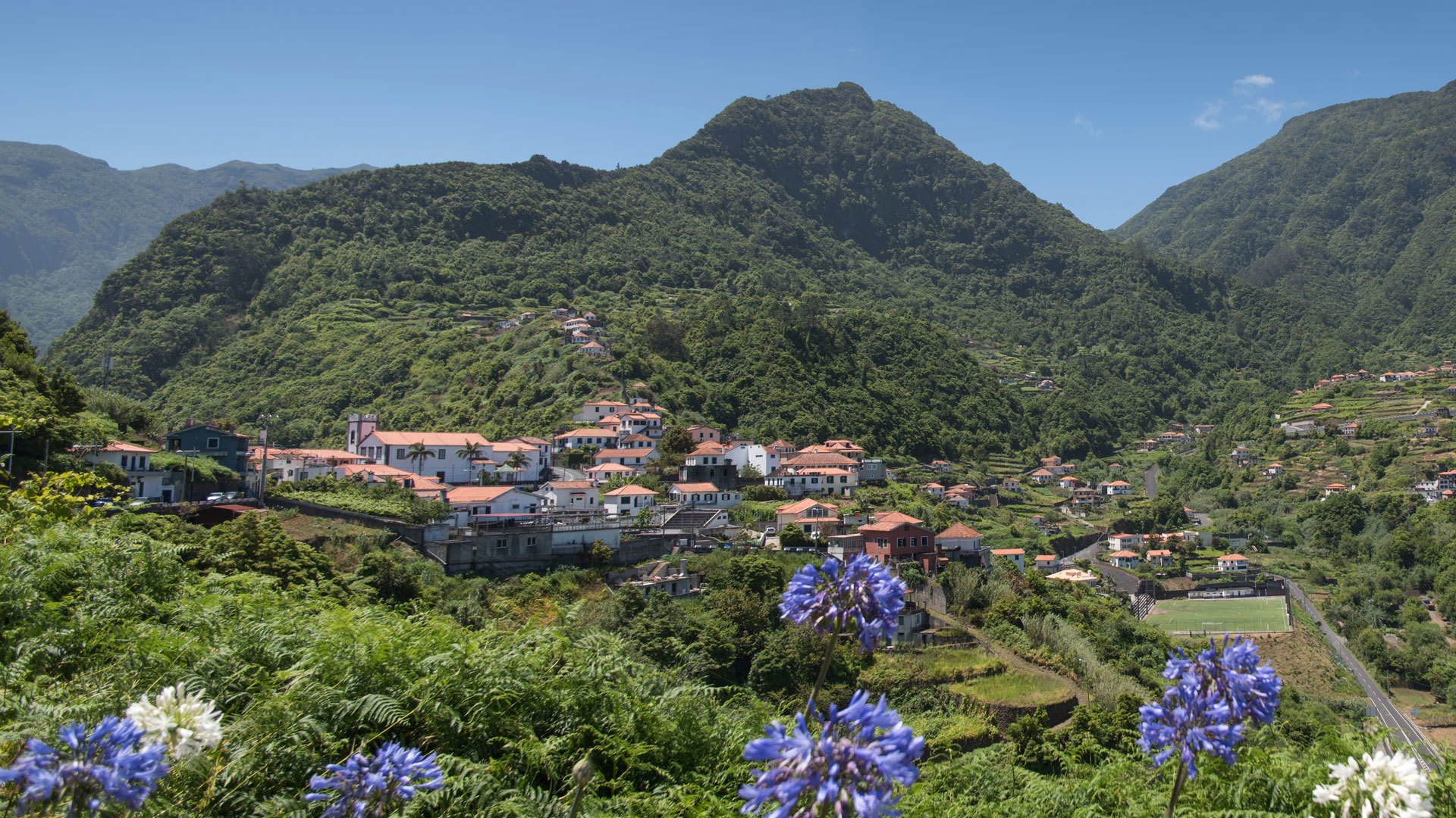 Valle verde con casas y flores lilas.