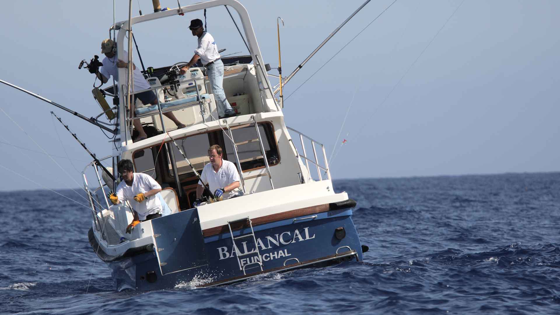 madeira sport fishing 7