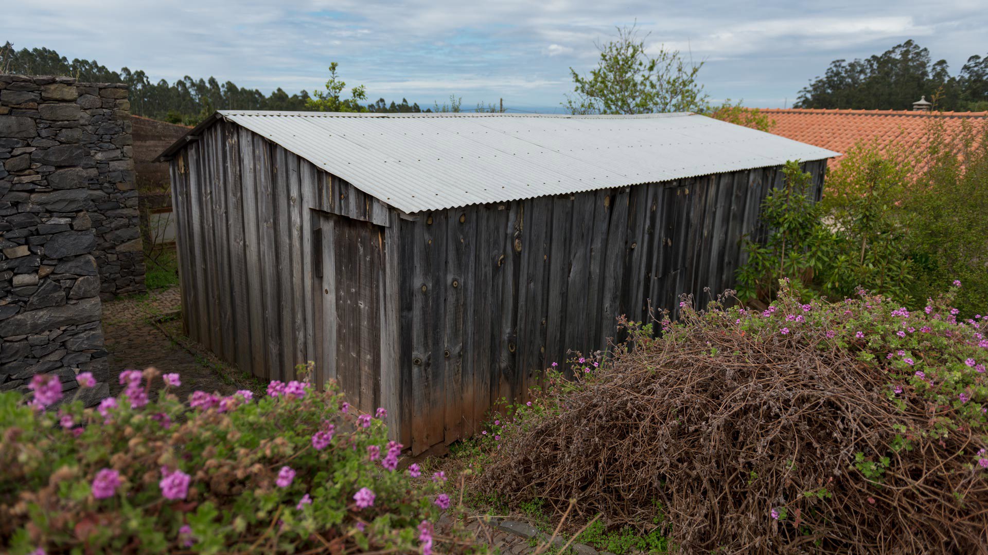 Flores lilas junto a casa con techo de aluminio y pared de piedra.