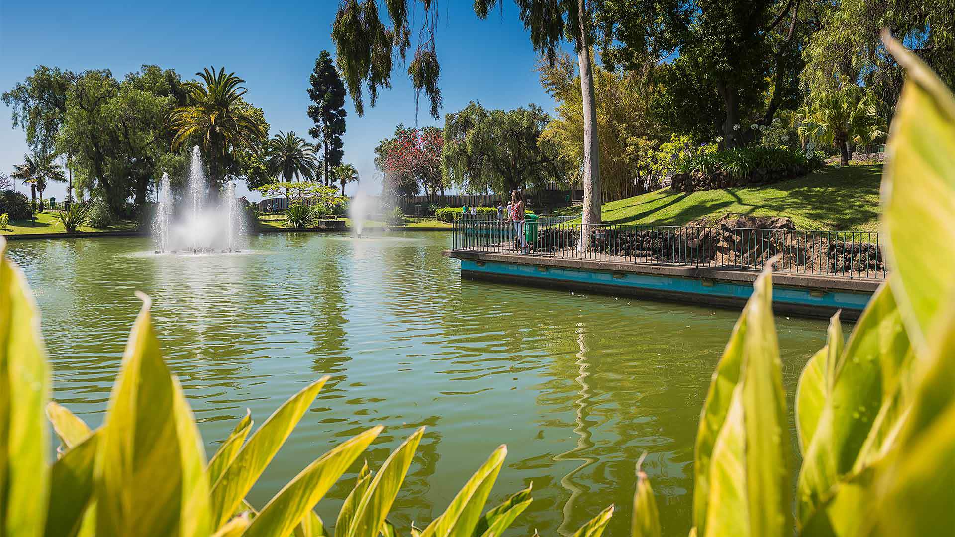 Santa Catarina Park funchal 5