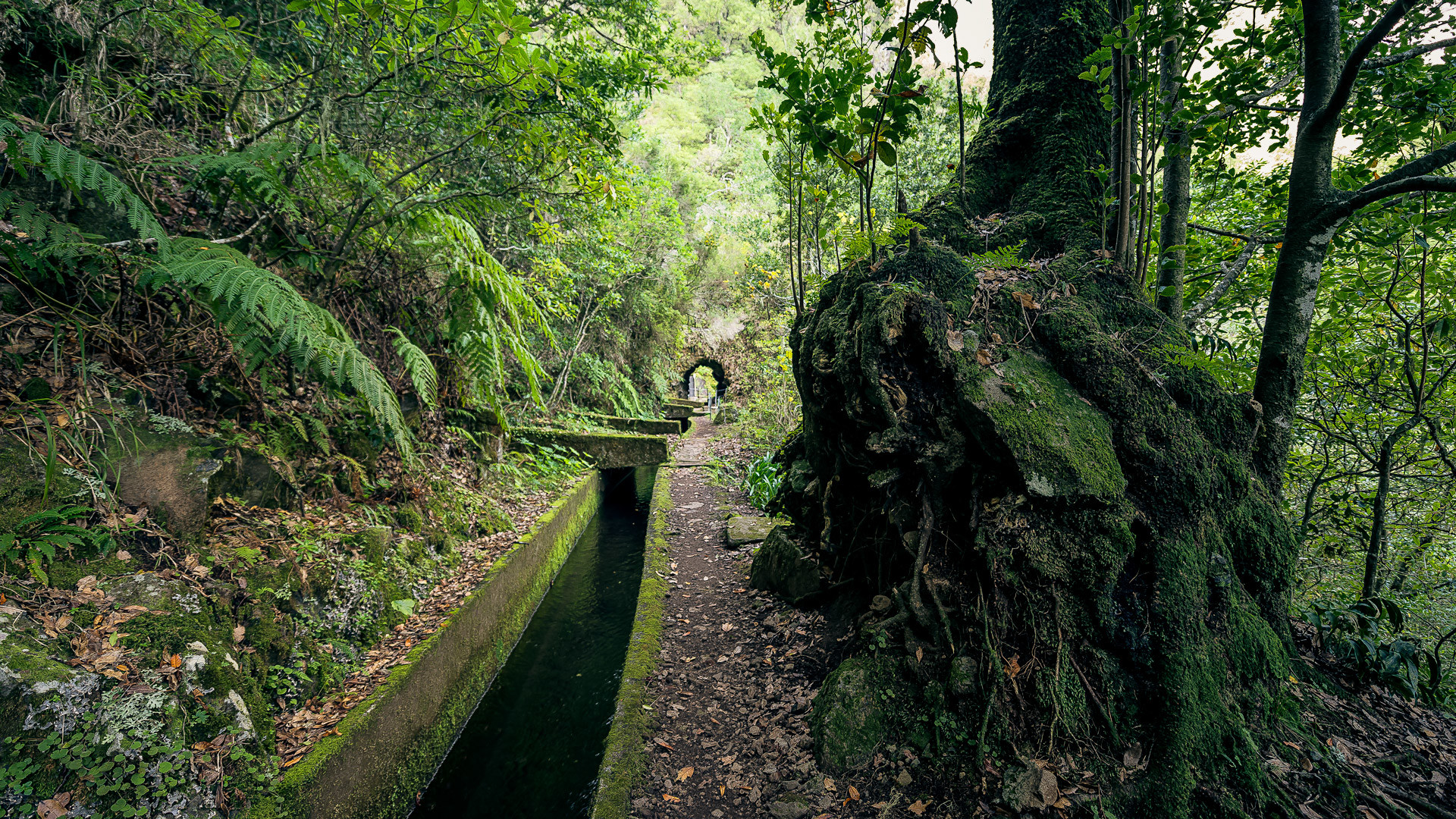 caminho do pináculo e folhadal 9