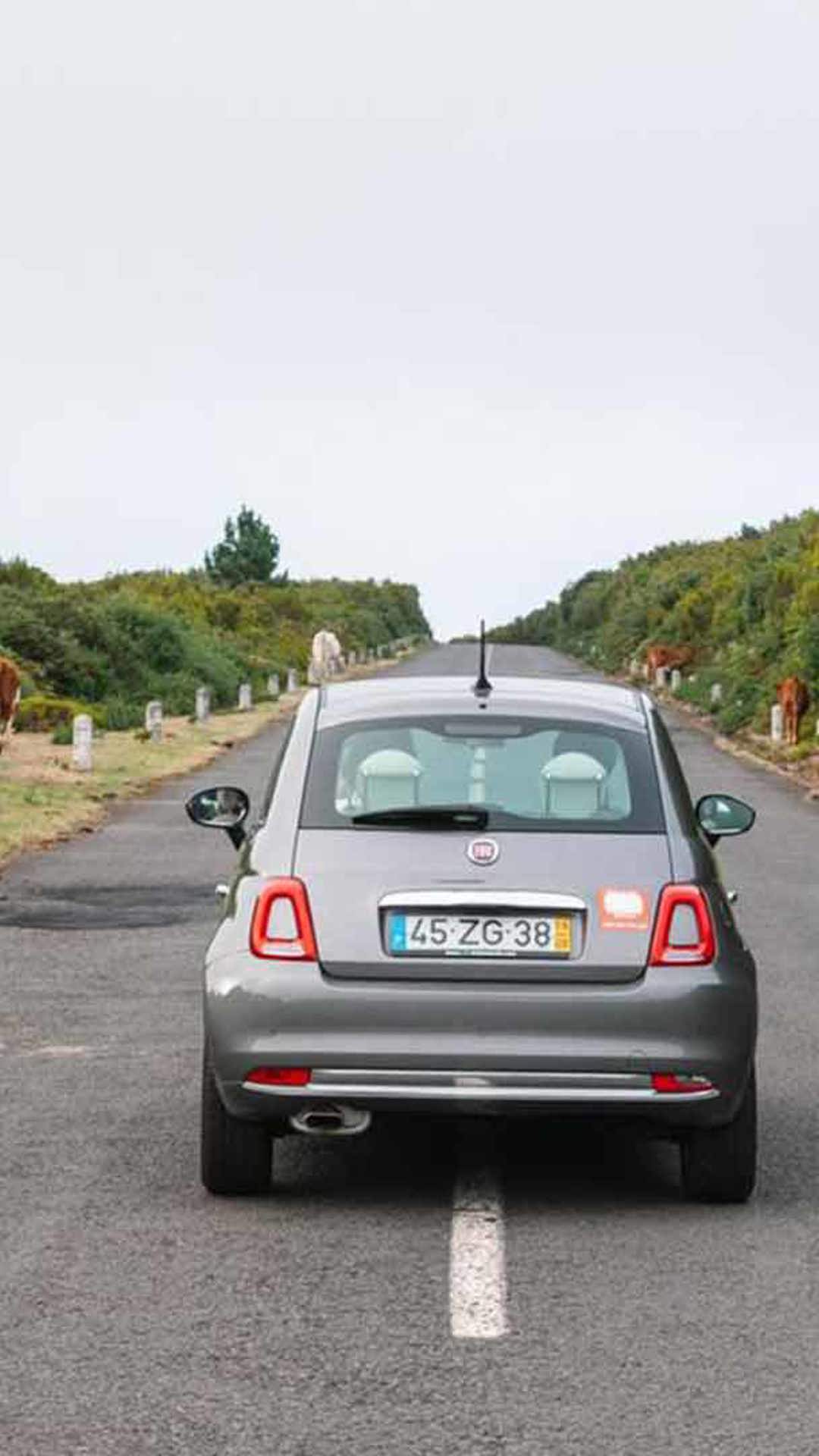 rent a car in madeira 3