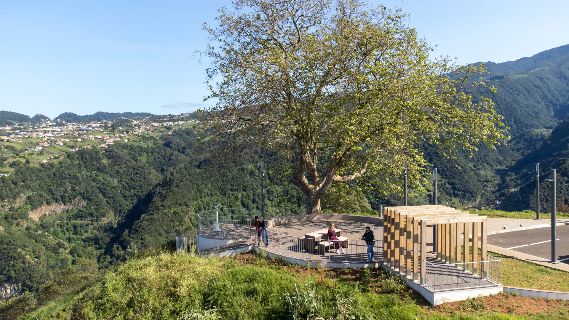 Miradouro com árvore nas montanhas na Madeira.