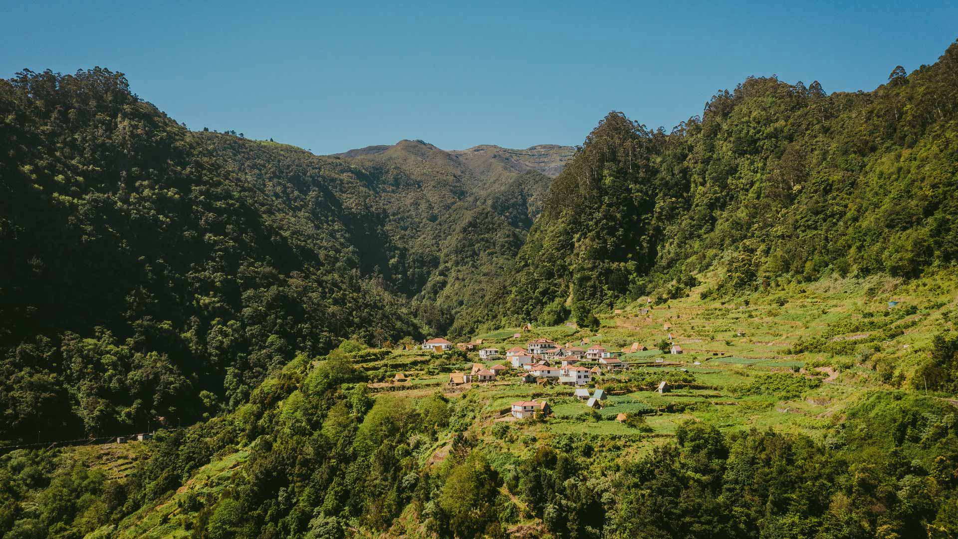 Mountains surrounded by lush nature.