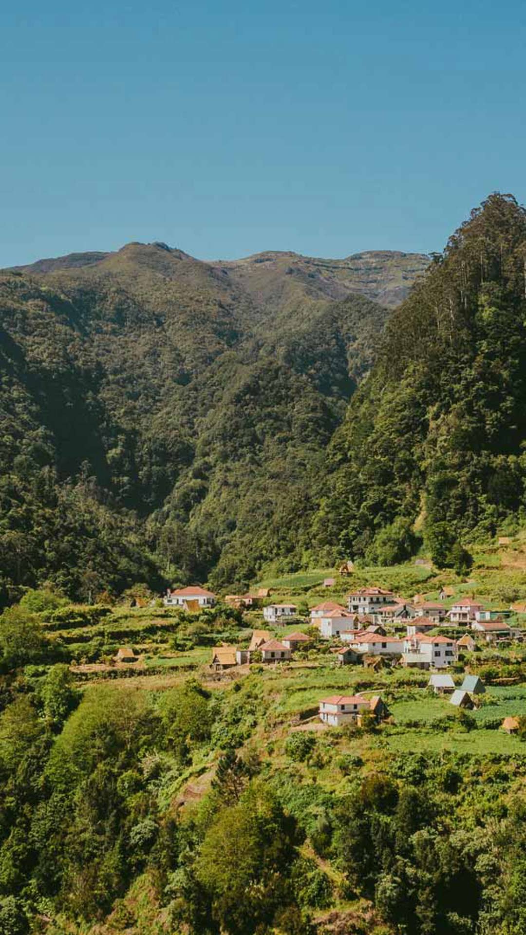 Montanhas rodeadas por natureza verdejante.