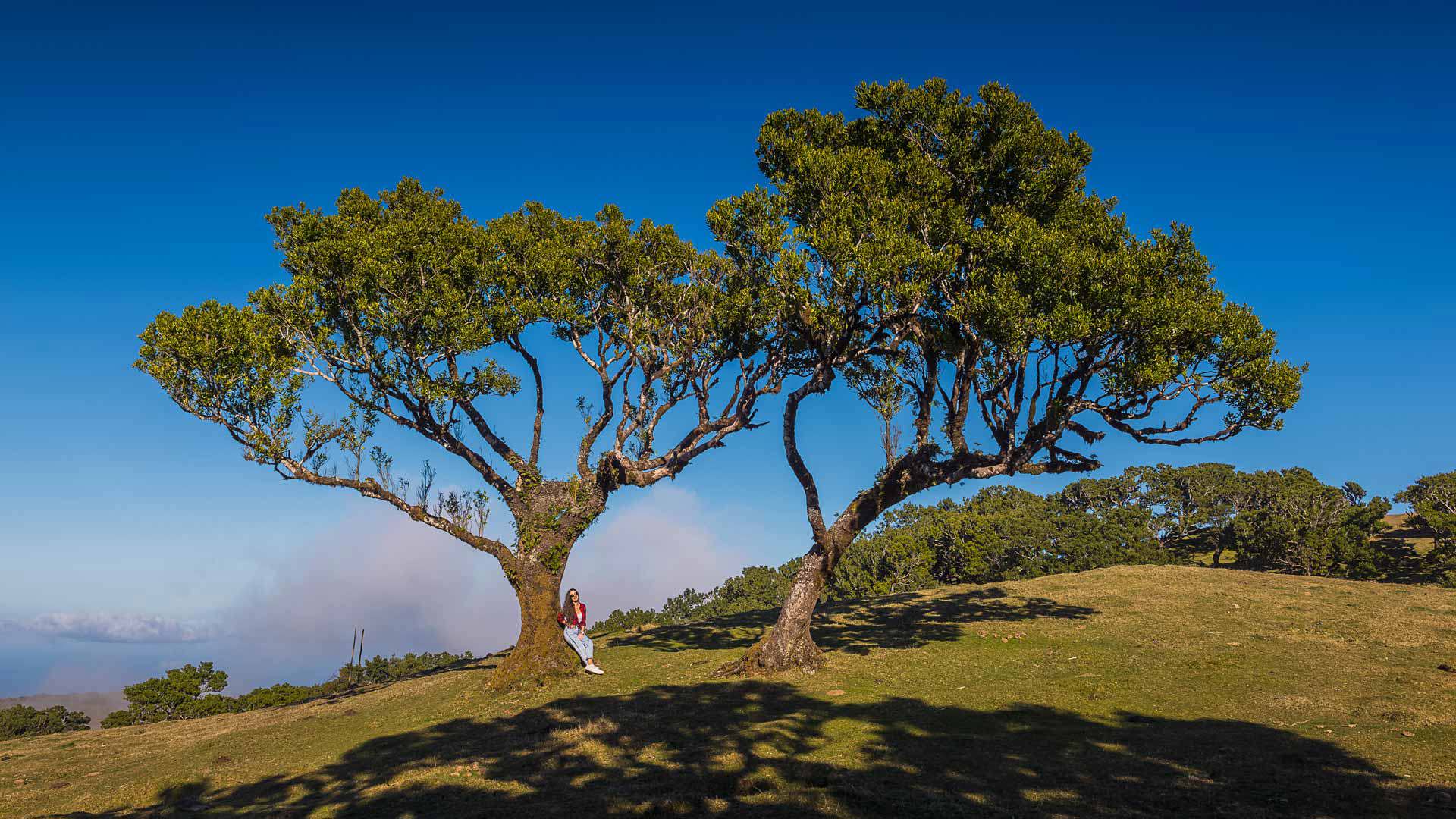 Passeio na natureza