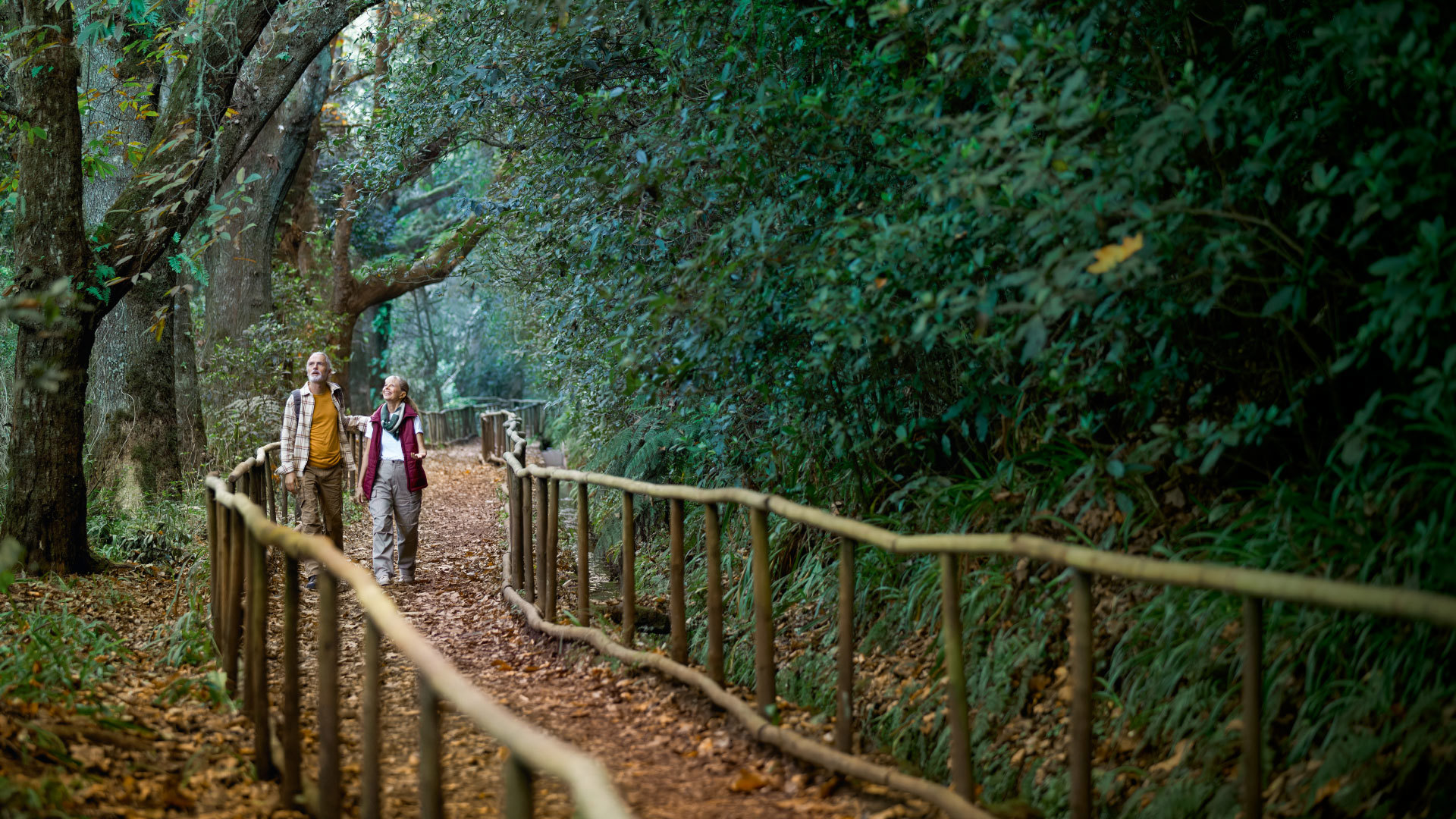 Vive a Madeira por inteiro