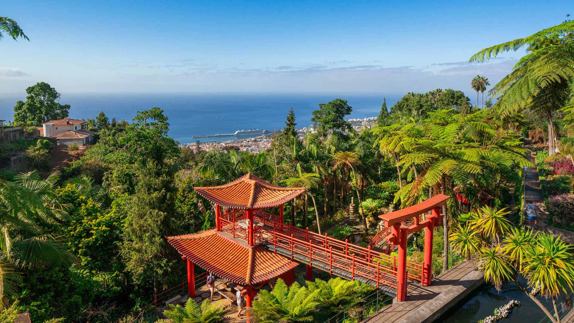 Ponte oriental no Jardim Tropical Monte Palace Madeira com vista para o Funchal e vegetação ao redor.