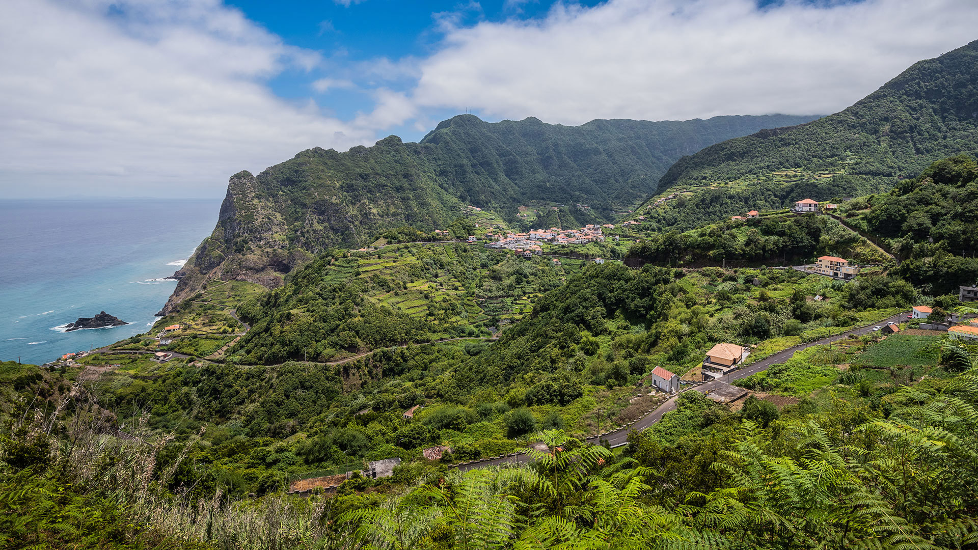 Montaña verde con mar al fondo en Madeira.