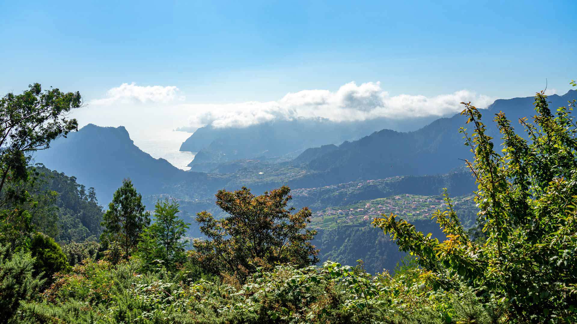 Árvores verdes, montanhas, nuvens e céu na Madeira.