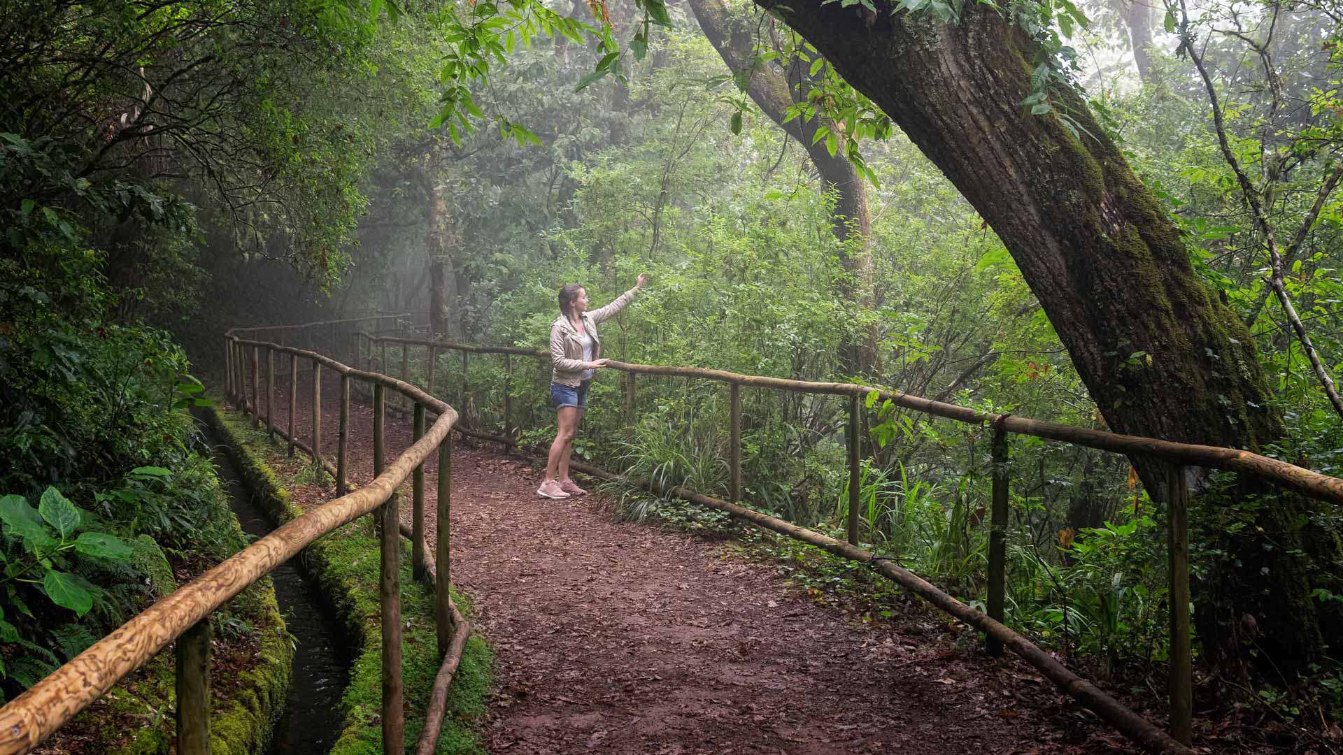 Woman walking a trail with wooden fences among trees in Madeira.