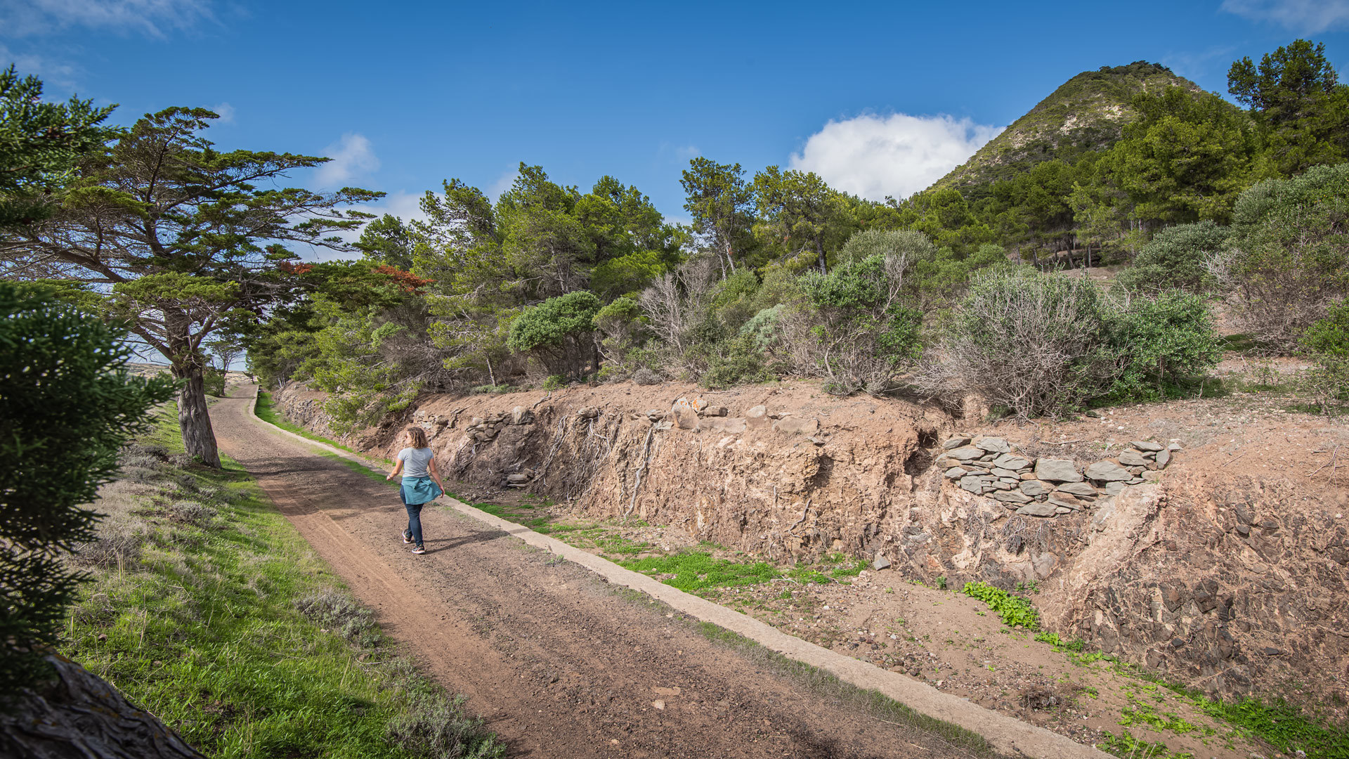 Levada do Pico do Castelo 7